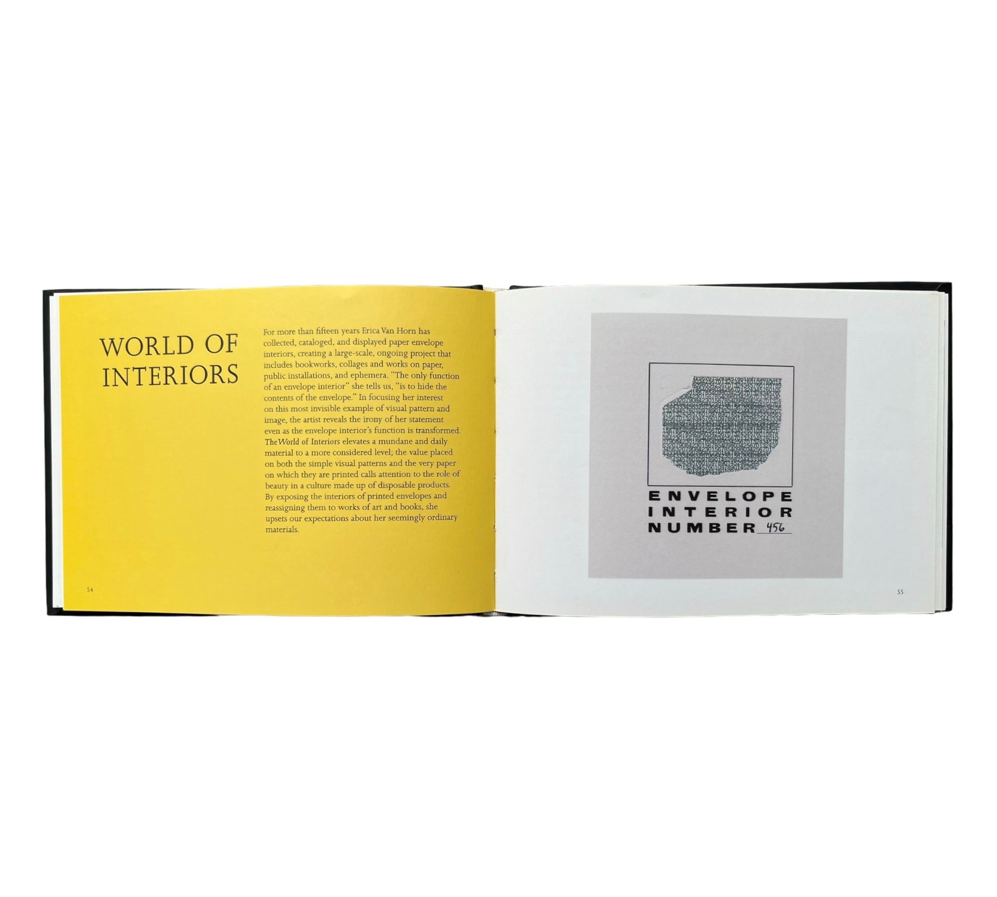 The Book Remembers Everything: The Work of Erica Van Horn