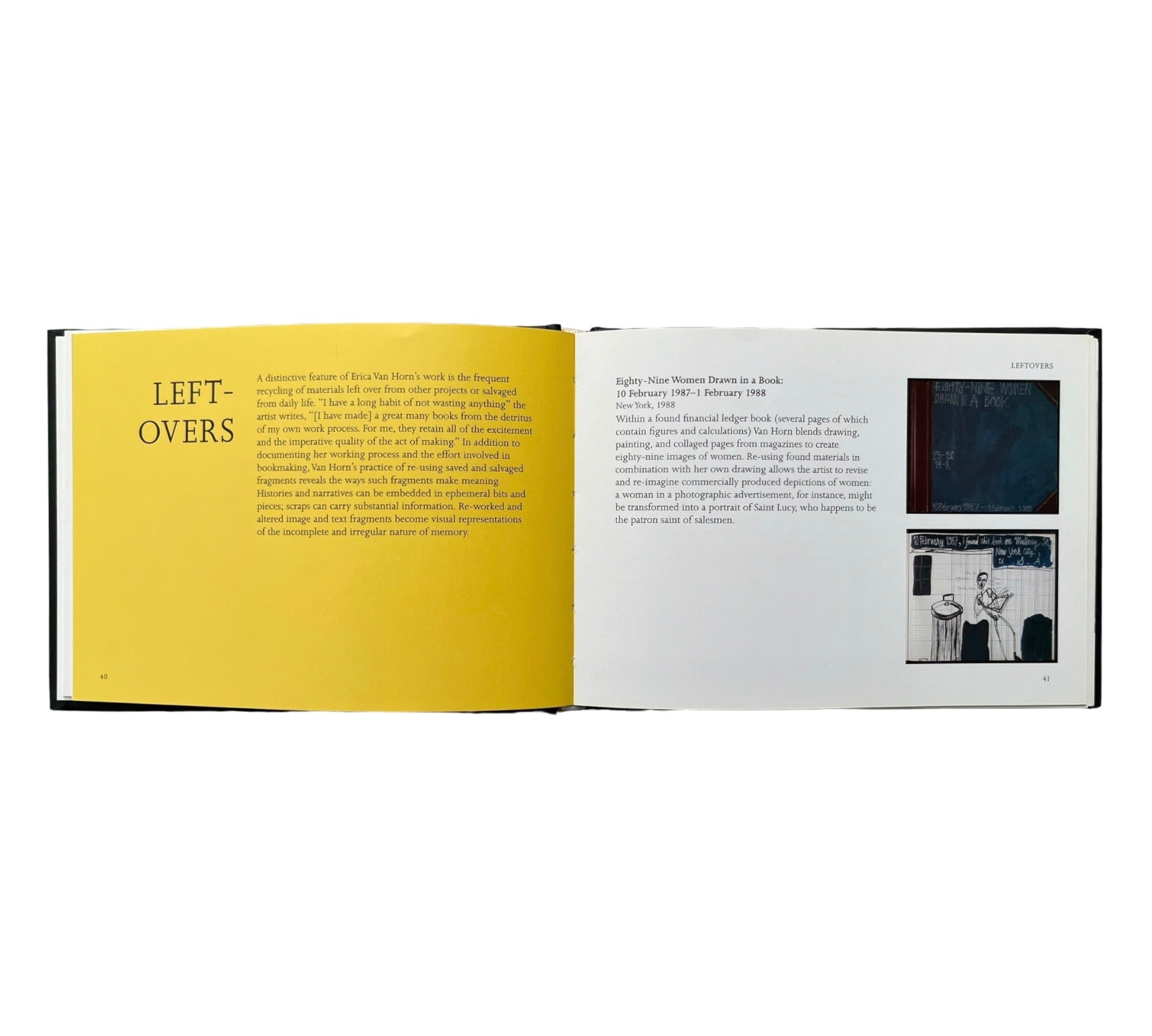 The Book Remembers Everything: The Work of Erica Van Horn