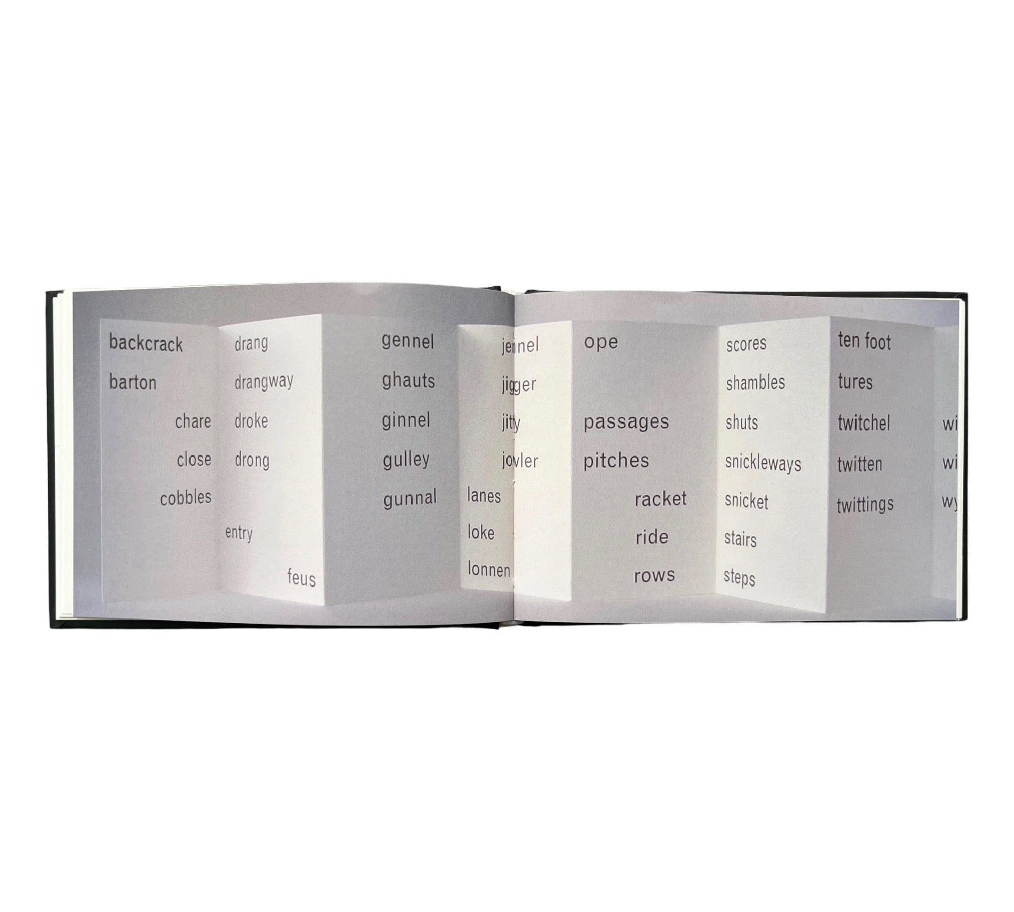 The Book Remembers Everything: The Work of Erica Van Horn