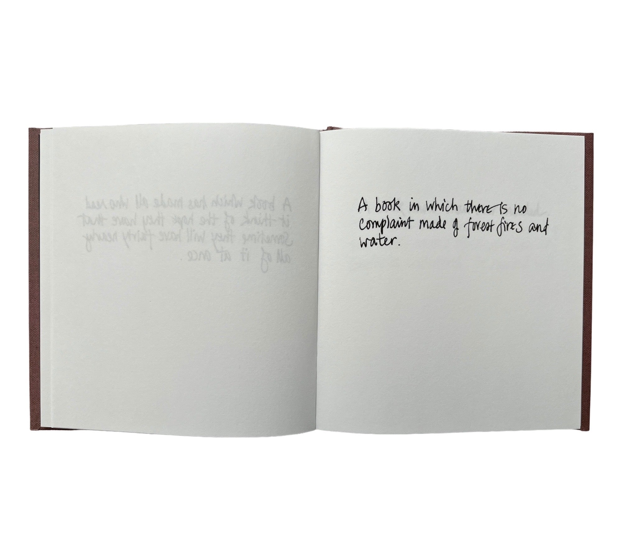 Descriptions of Literature by Gertrude Stein: Handwritten by Erica Van Horn