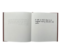 Descriptions of Literature by Gertrude Stein: Handwritten by Erica Van Horn