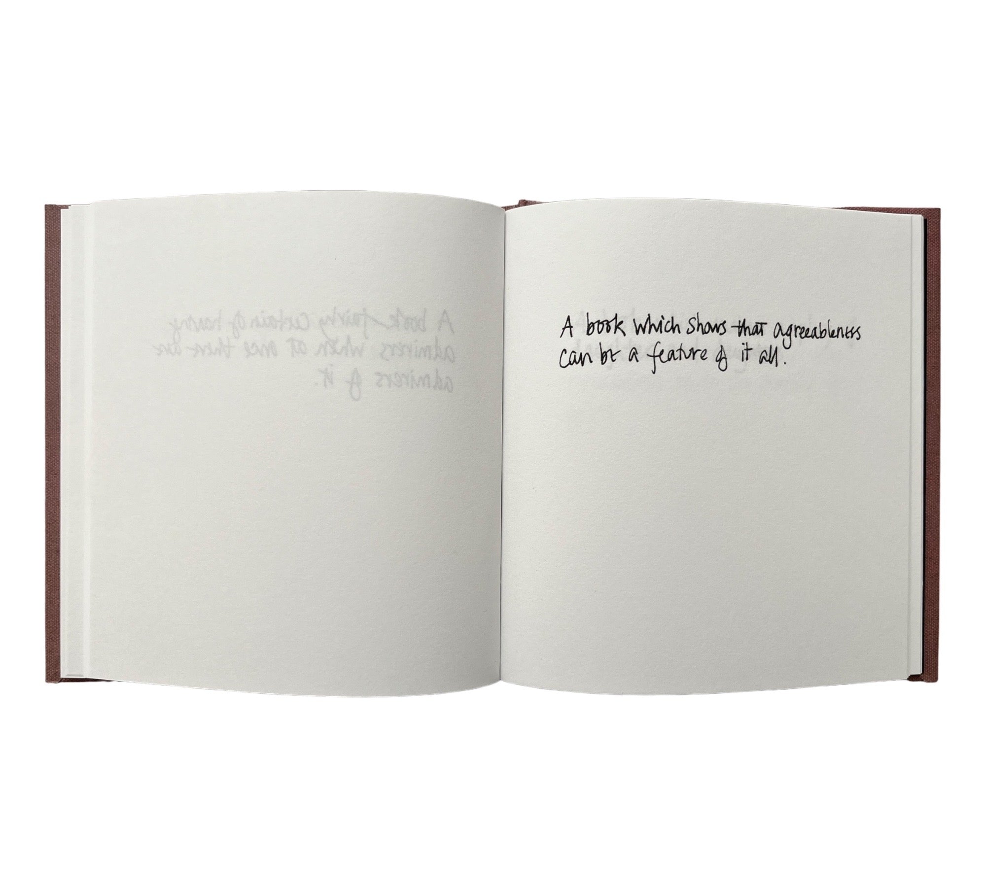 Descriptions of Literature by Gertrude Stein: Handwritten by Erica Van Horn