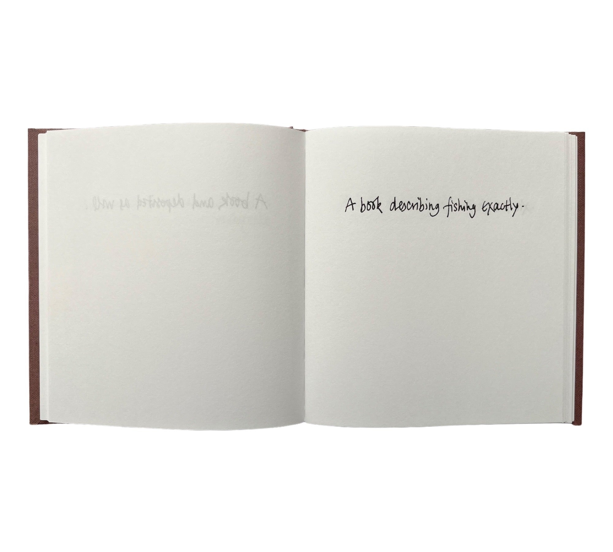 Descriptions of Literature by Gertrude Stein: Handwritten by Erica Van Horn