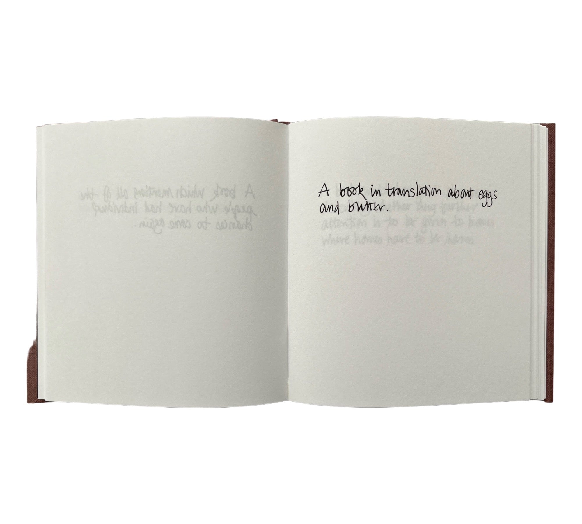 Descriptions of Literature by Gertrude Stein: Handwritten by Erica Van Horn