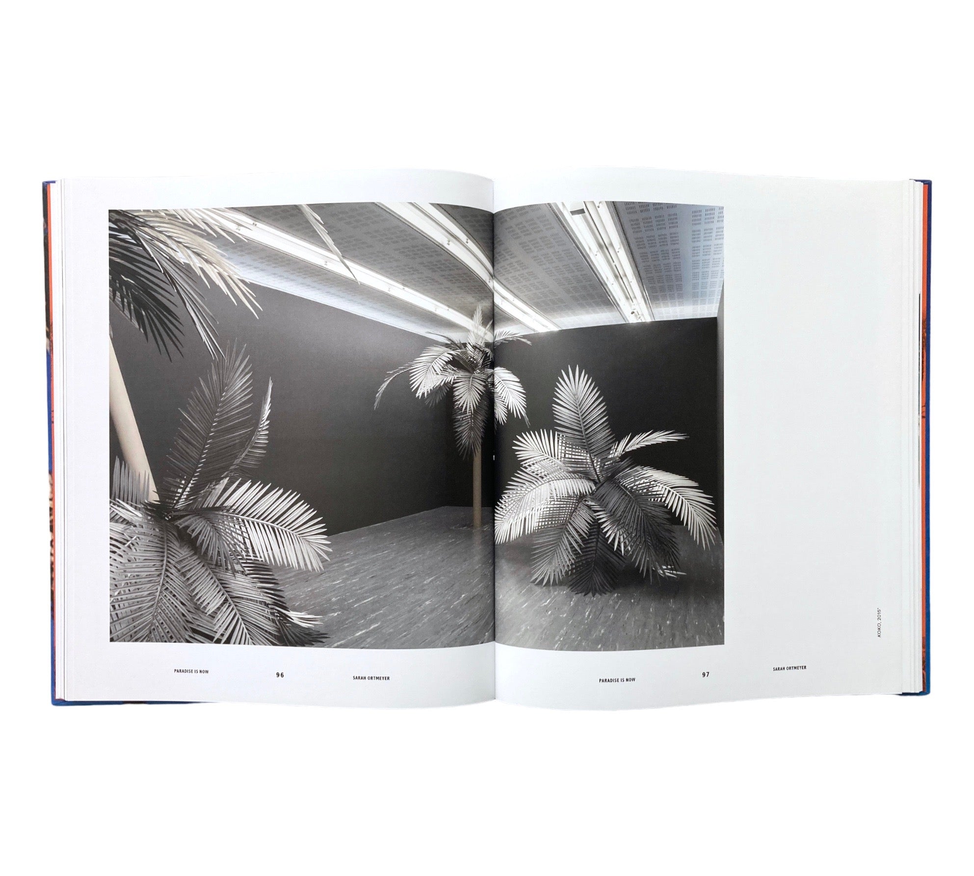 Paradise is Now: Palm Tress in Art