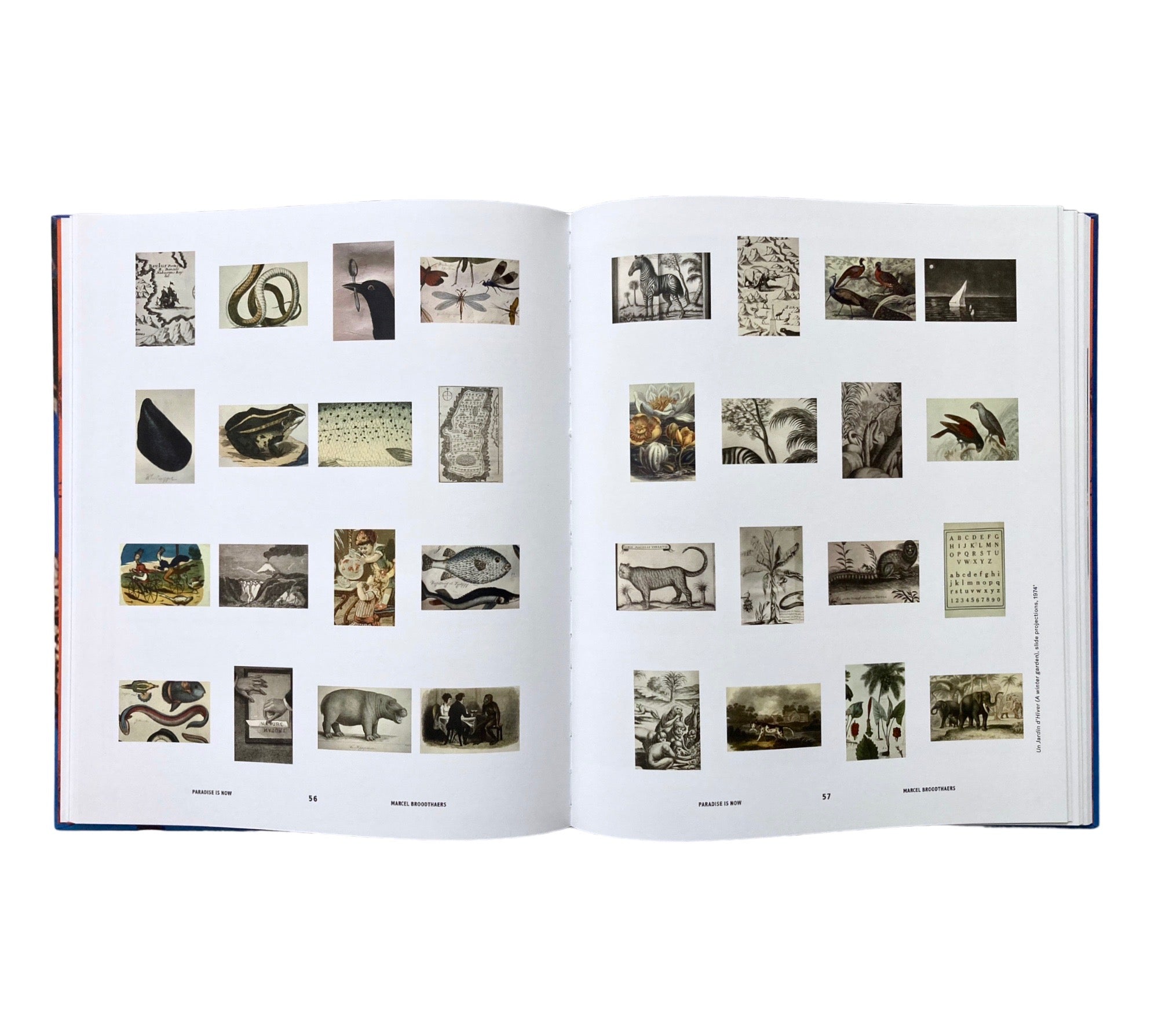 Paradise is Now: Palm Tress in Art