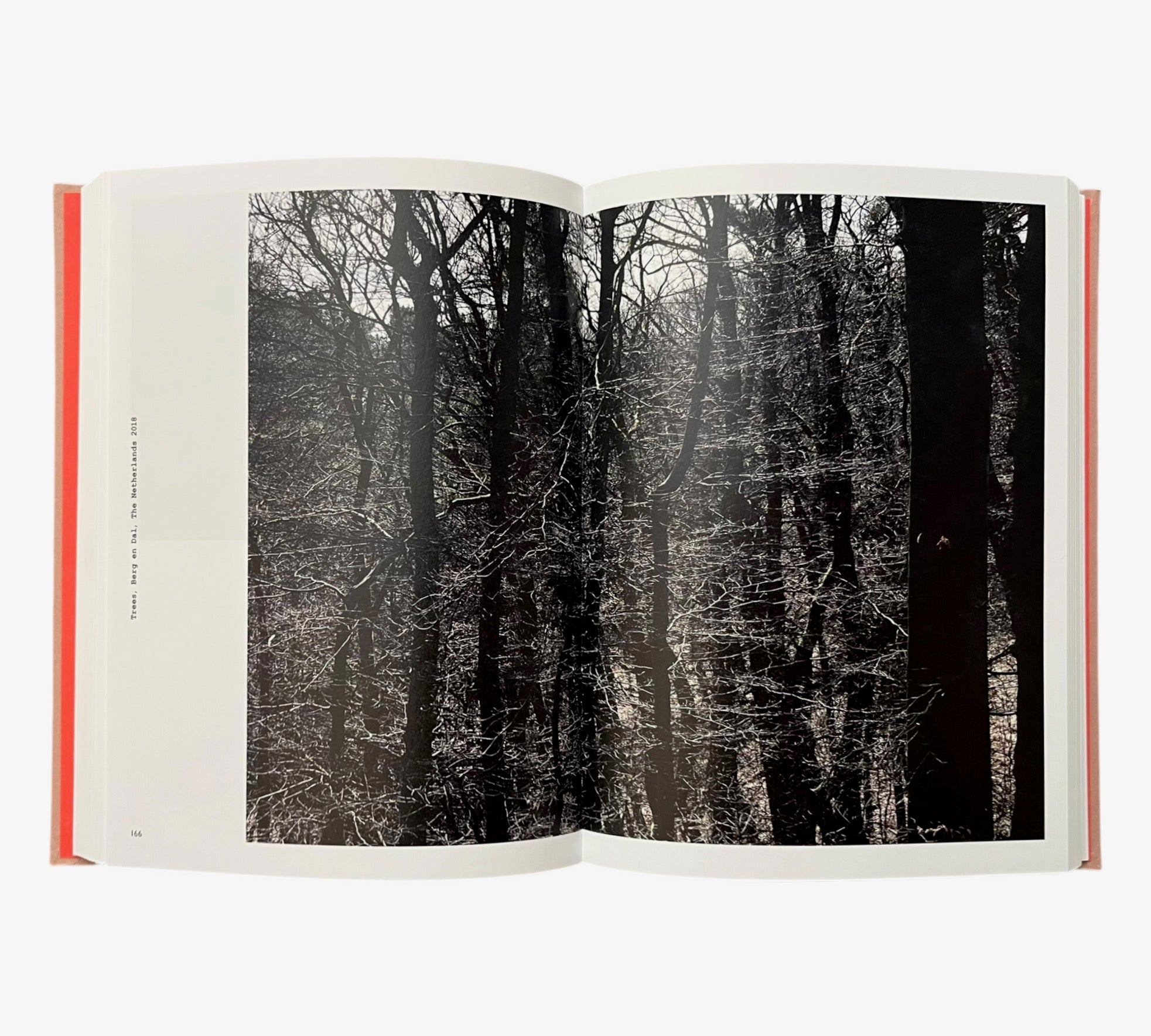 Instanton: Anton Corbijn - phone photos