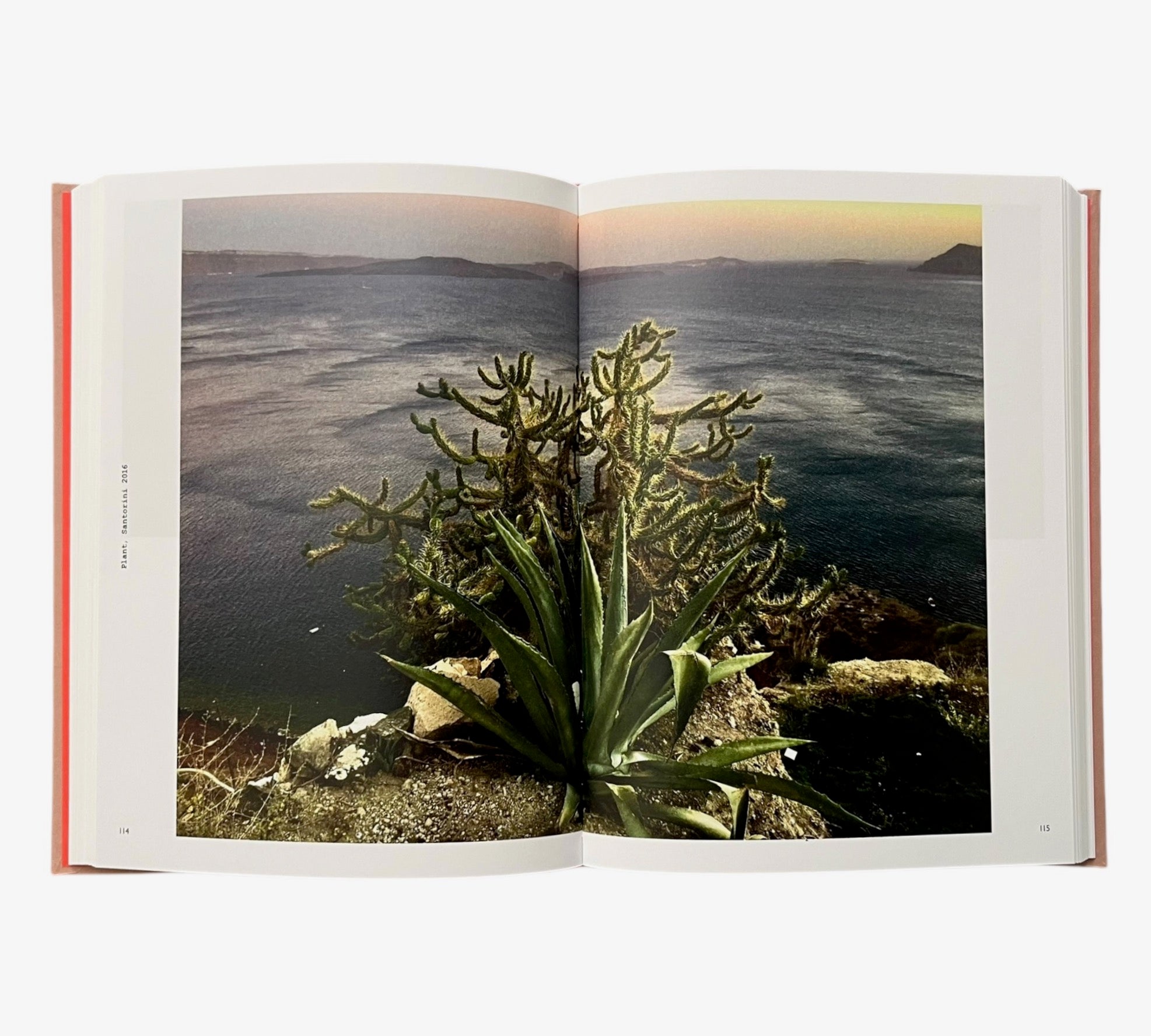 Instanton: Anton Corbijn - phone photos