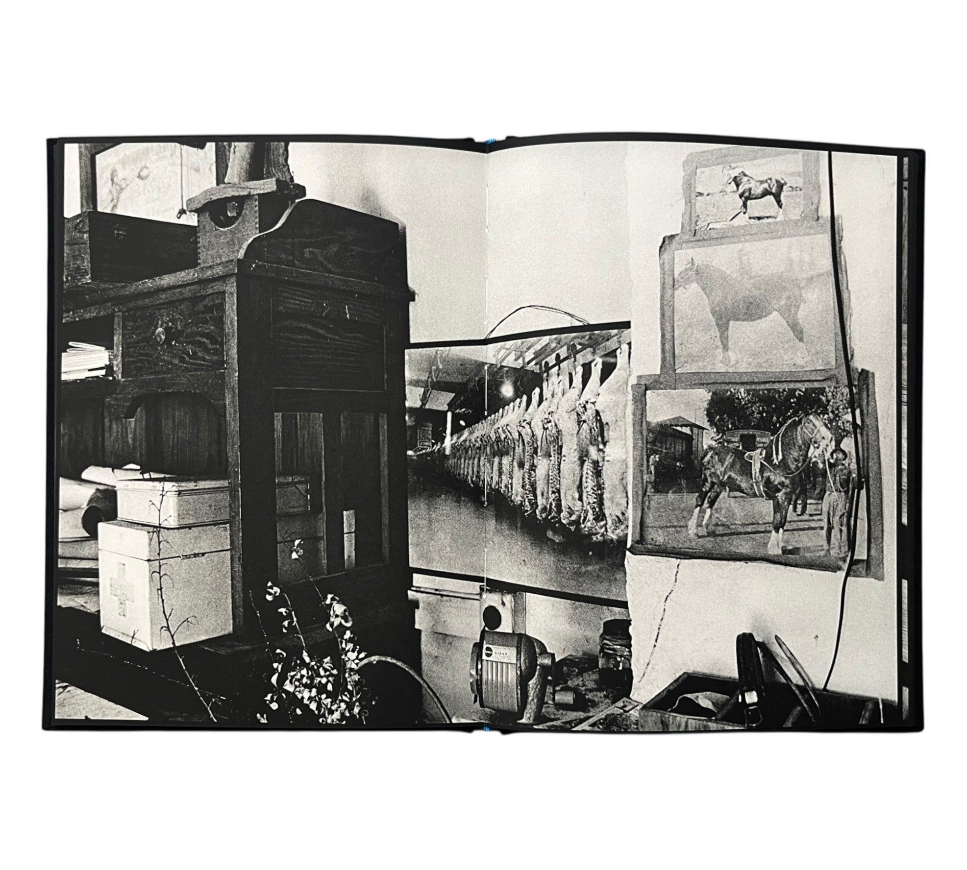 Michael Light: Ranch