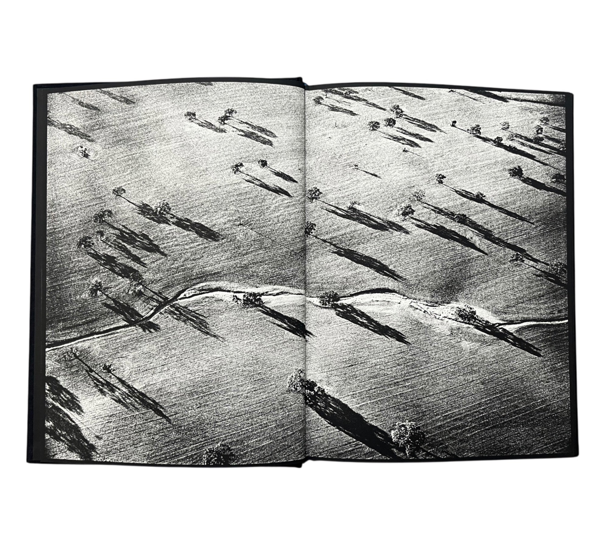 Michael Light: Ranch