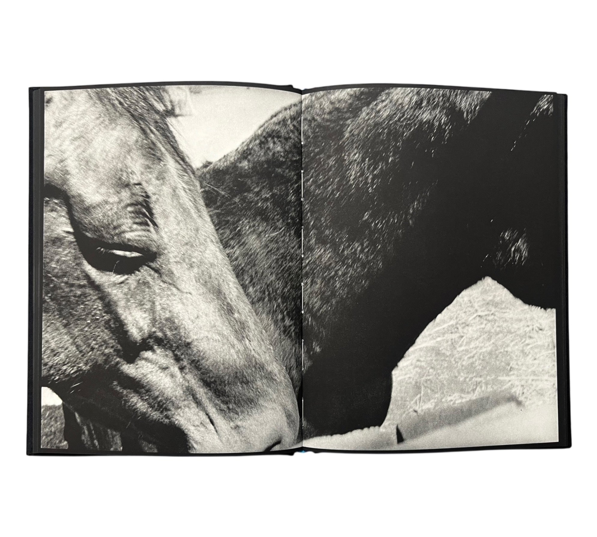 Michael Light: Ranch