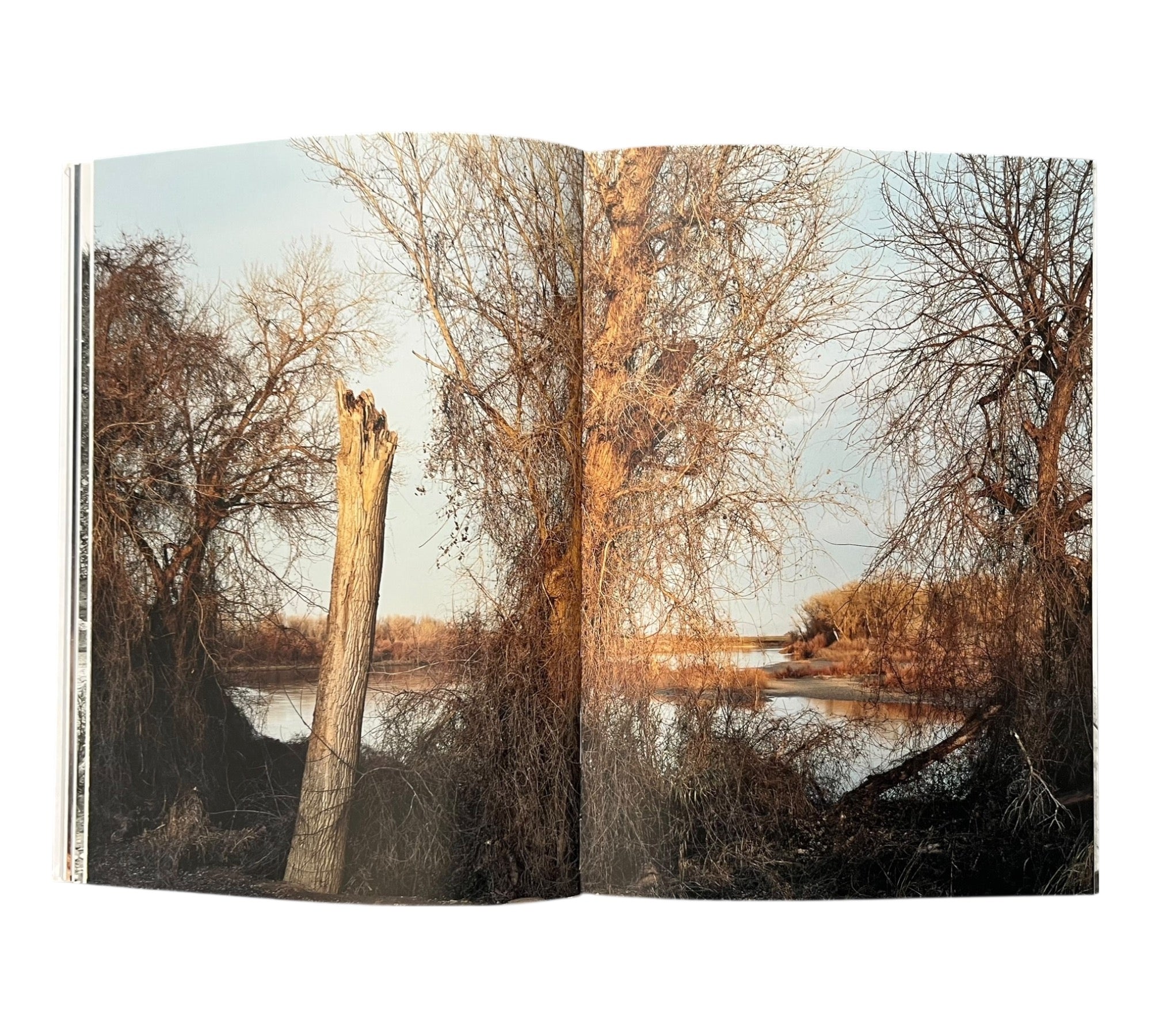 Lukas Felzmann: Waters In Between (Non-mint)