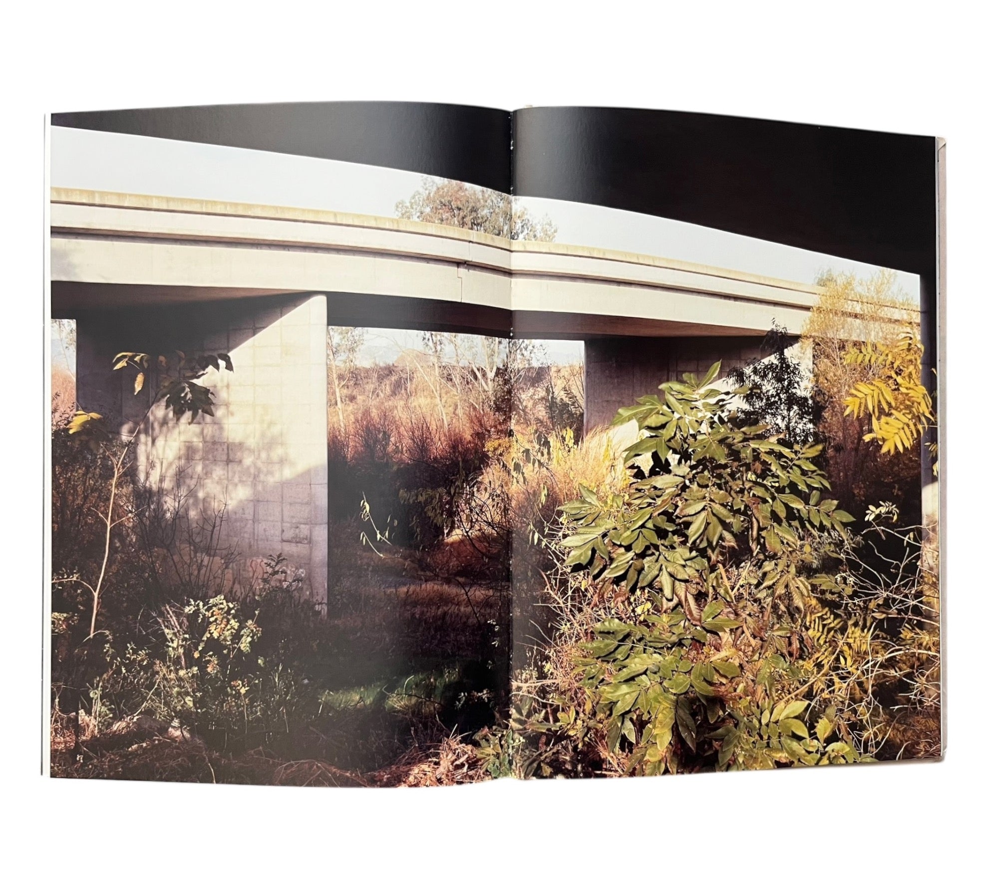 Lukas Felzmann: Waters In Between (Non-mint)