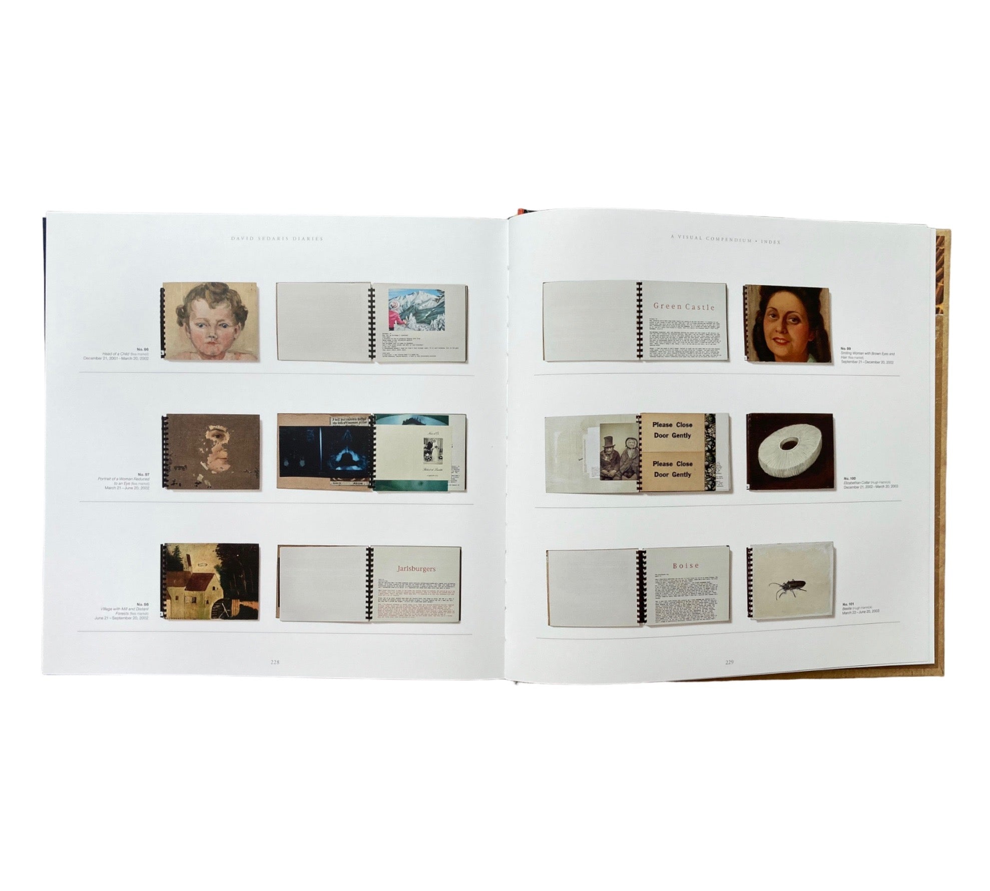 David Sedaris: Diaries - A Visual Compendium