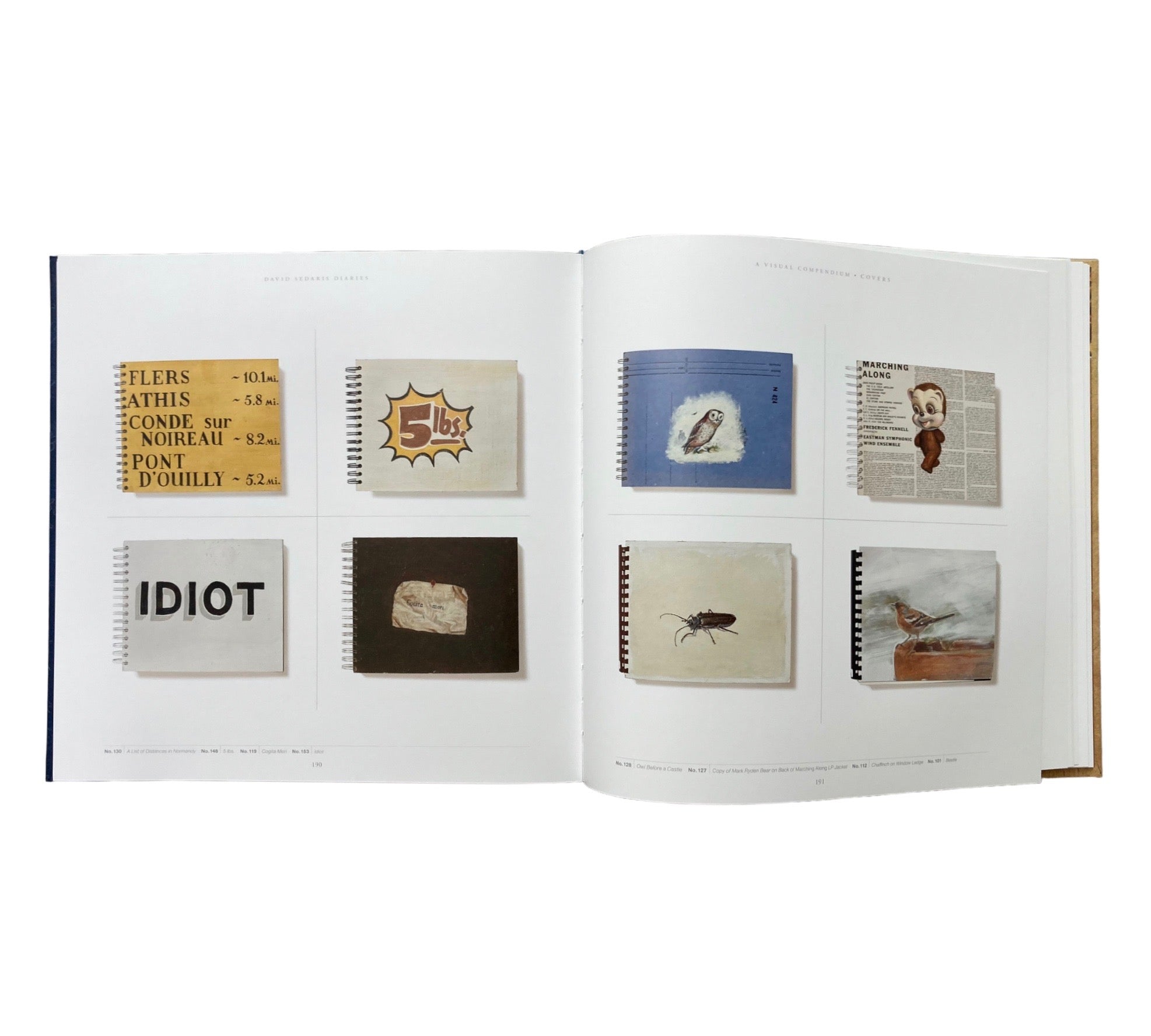 David Sedaris: Diaries - A Visual Compendium