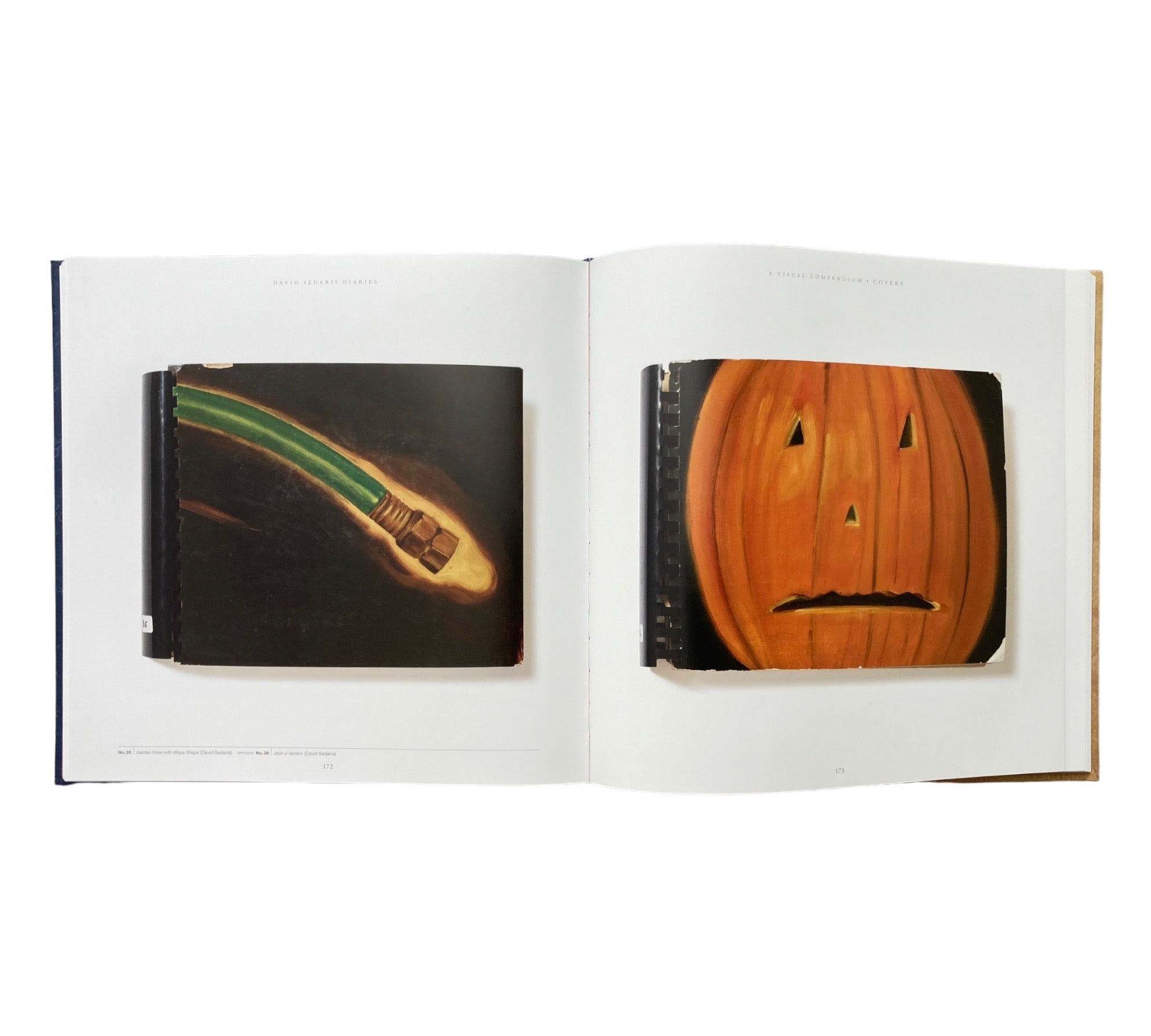 David Sedaris: Diaries - A Visual Compendium