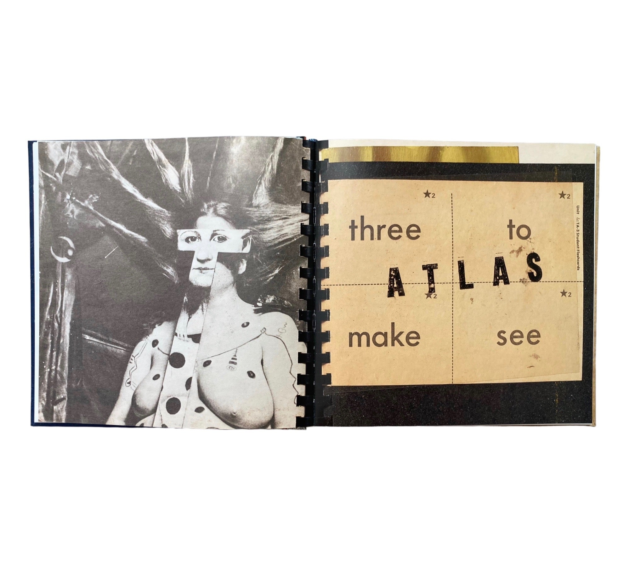 David Sedaris: Diaries - A Visual Compendium