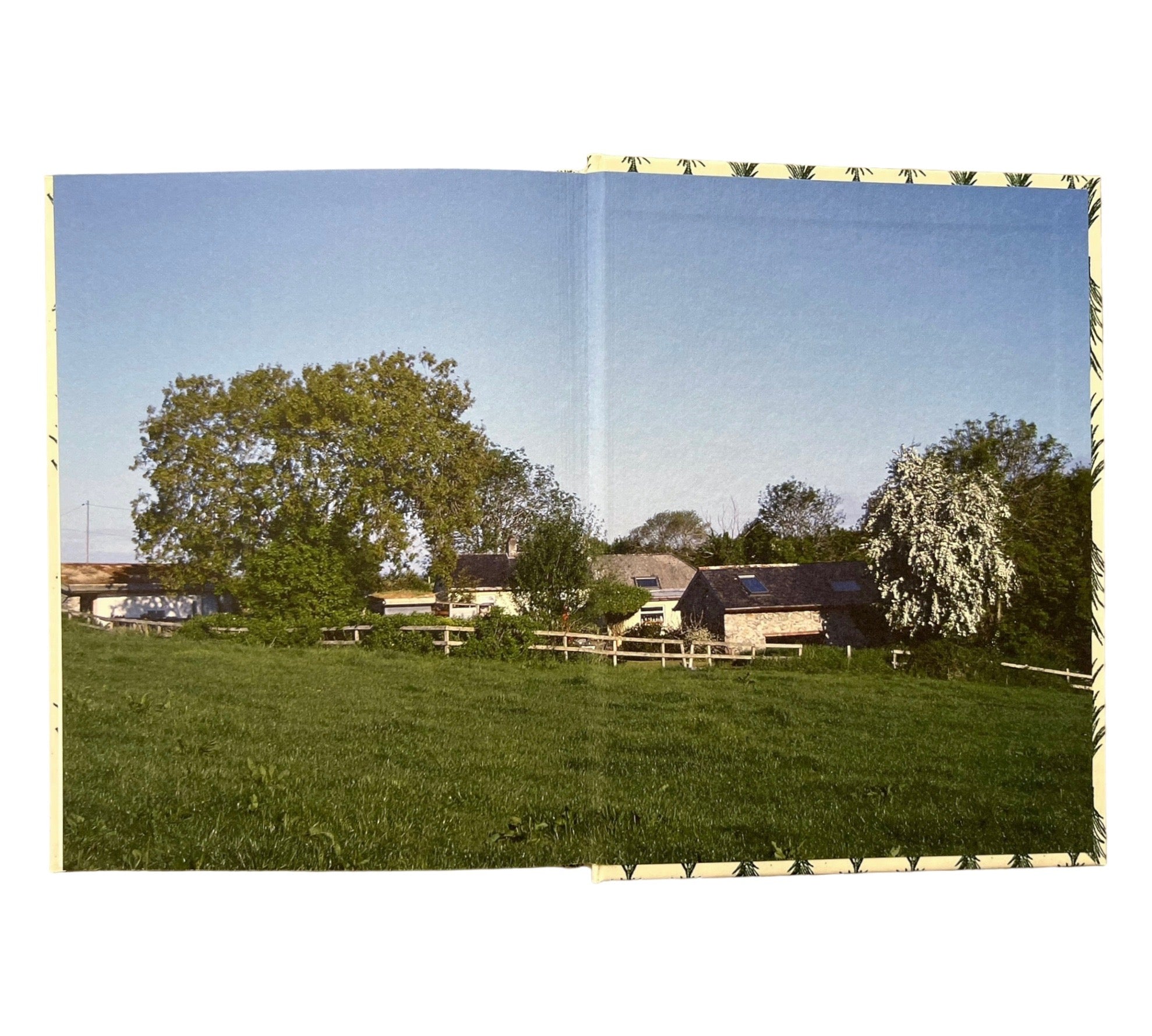 Simon Cutts & Erica Van Horn: A Table in Ballybeg