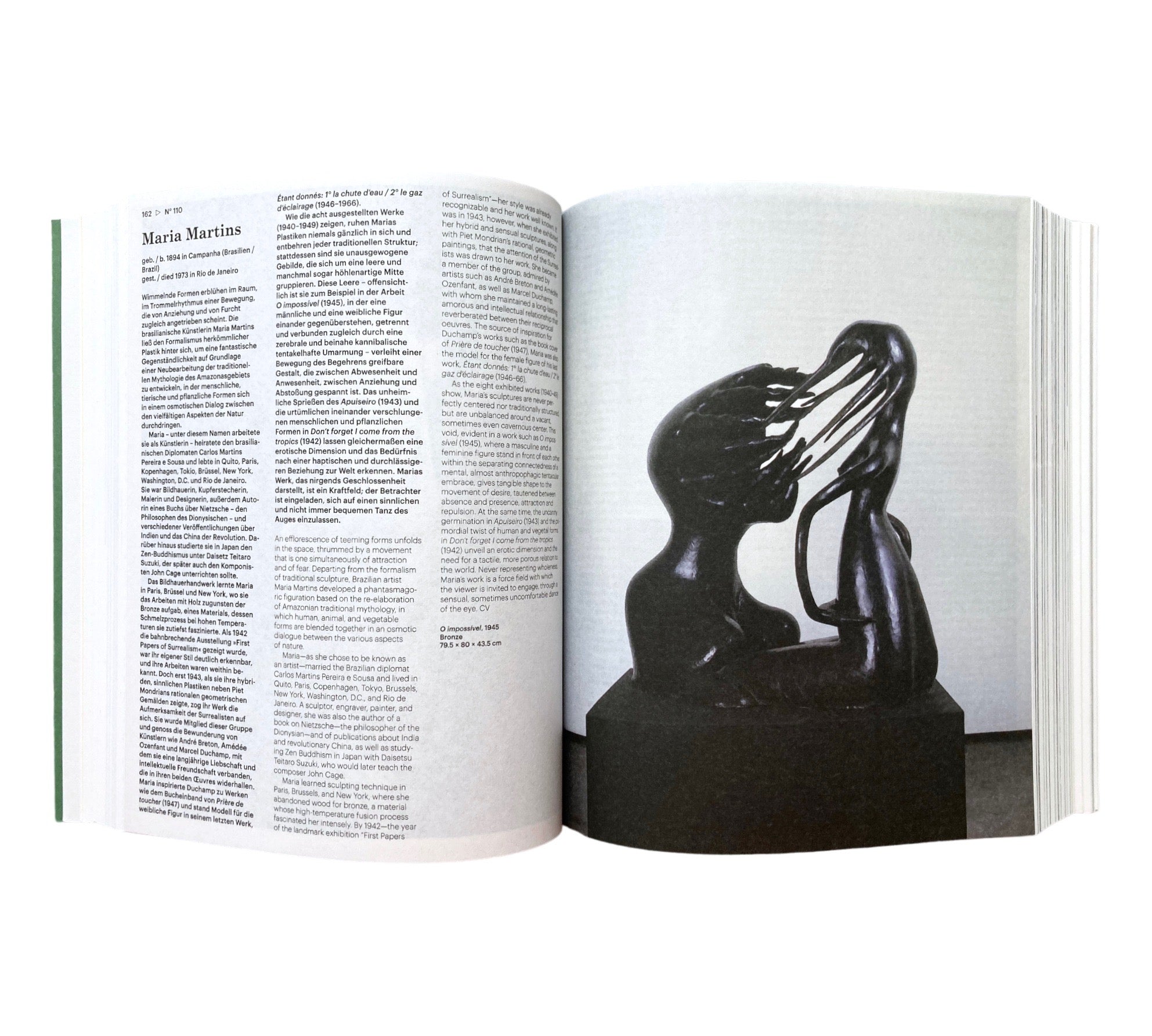 dOCUMENTA (13): Das Begleitbuch/The Guidebook