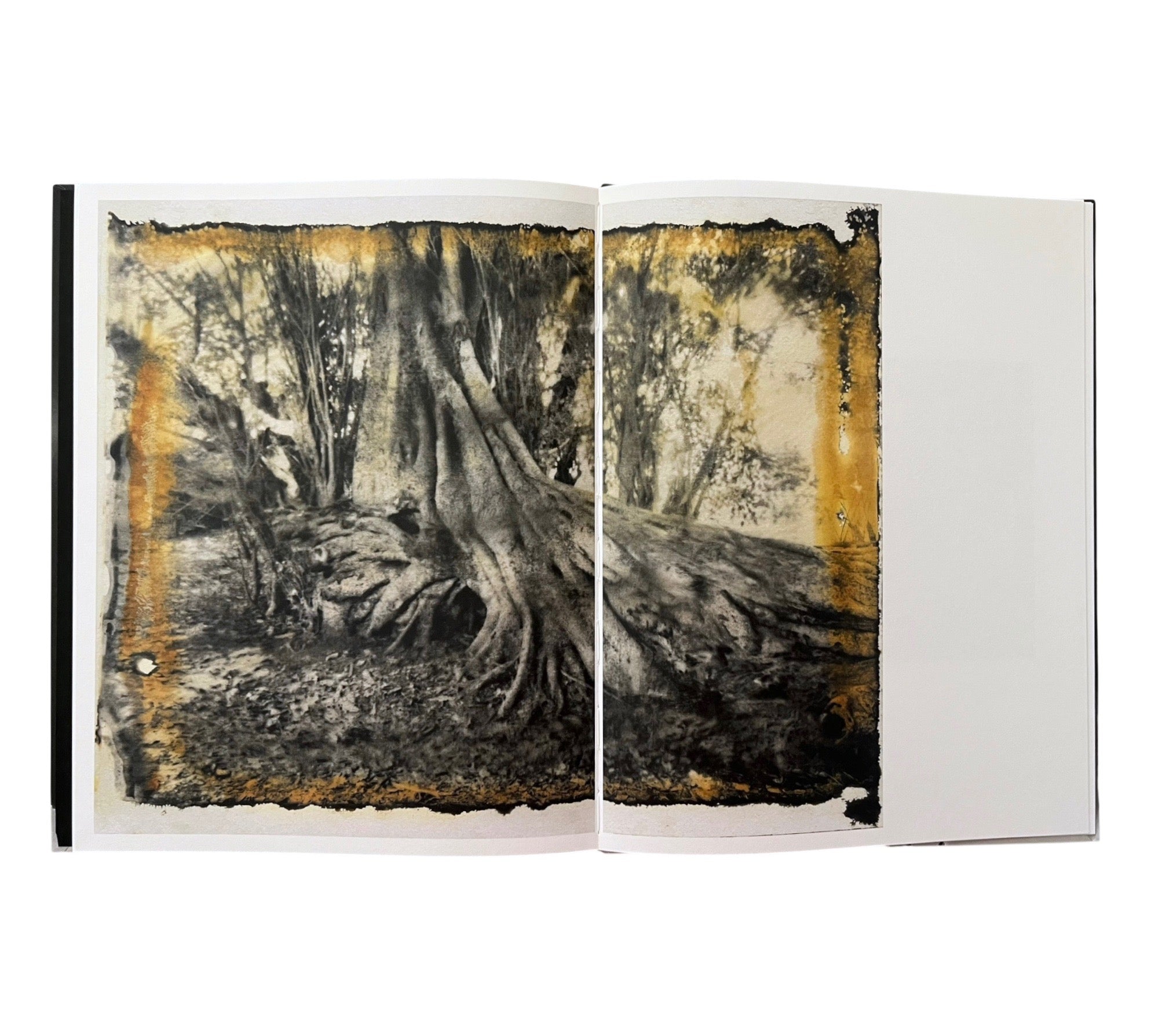 Lisen Stibeck: Undertow