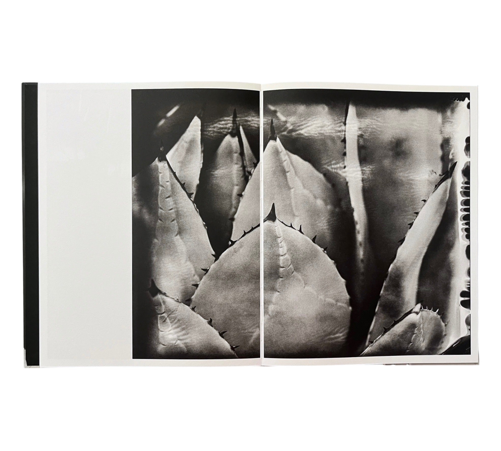 Lisen Stibeck: Undertow