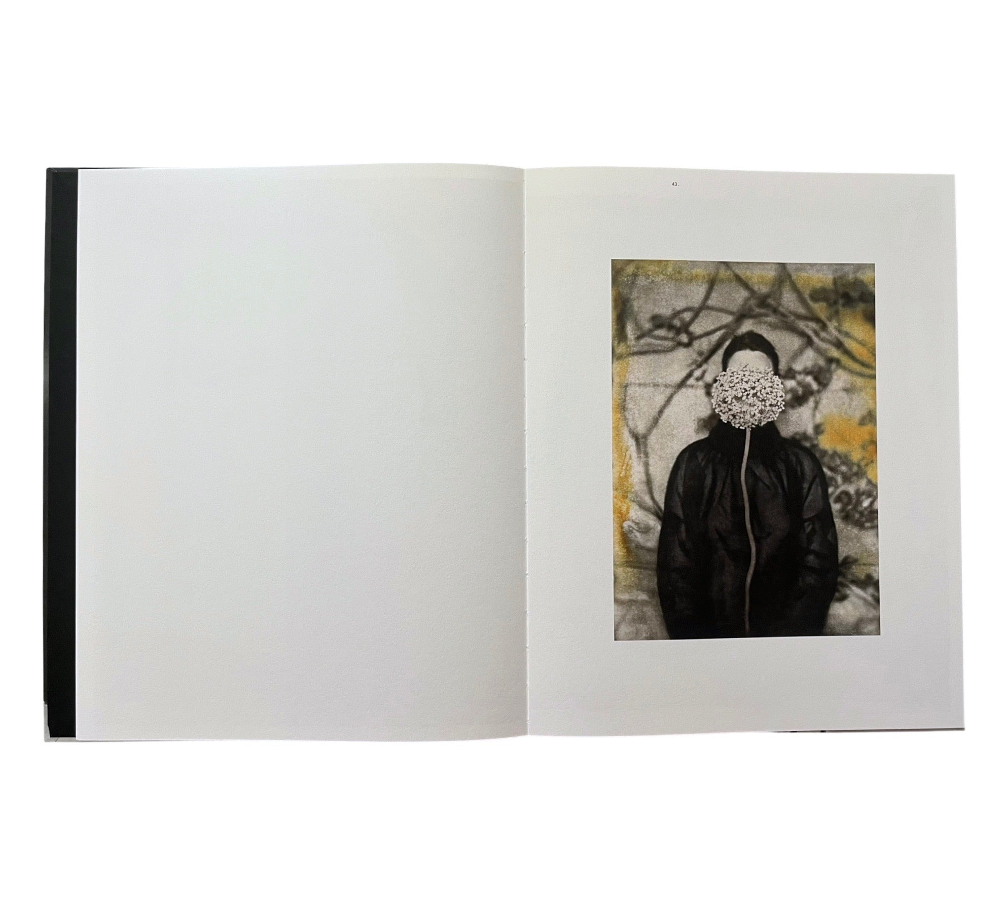 Lisen Stibeck: Undertow