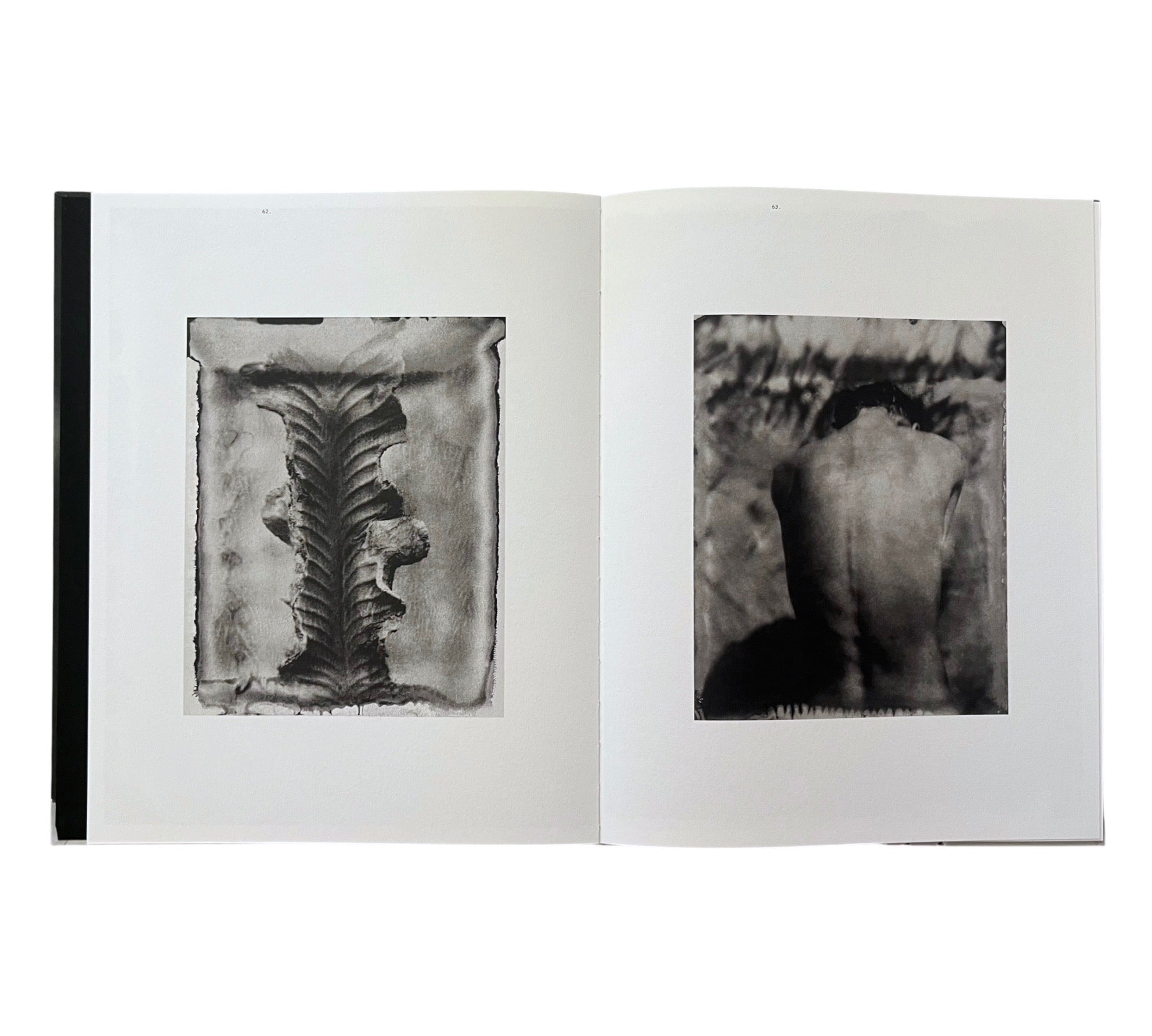 Lisen Stibeck: Undertow