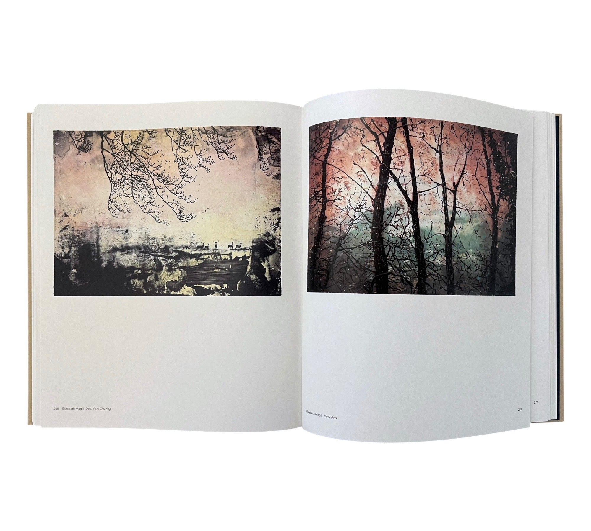 Contemporary Art in Print: The Paragon Press 2001-2006