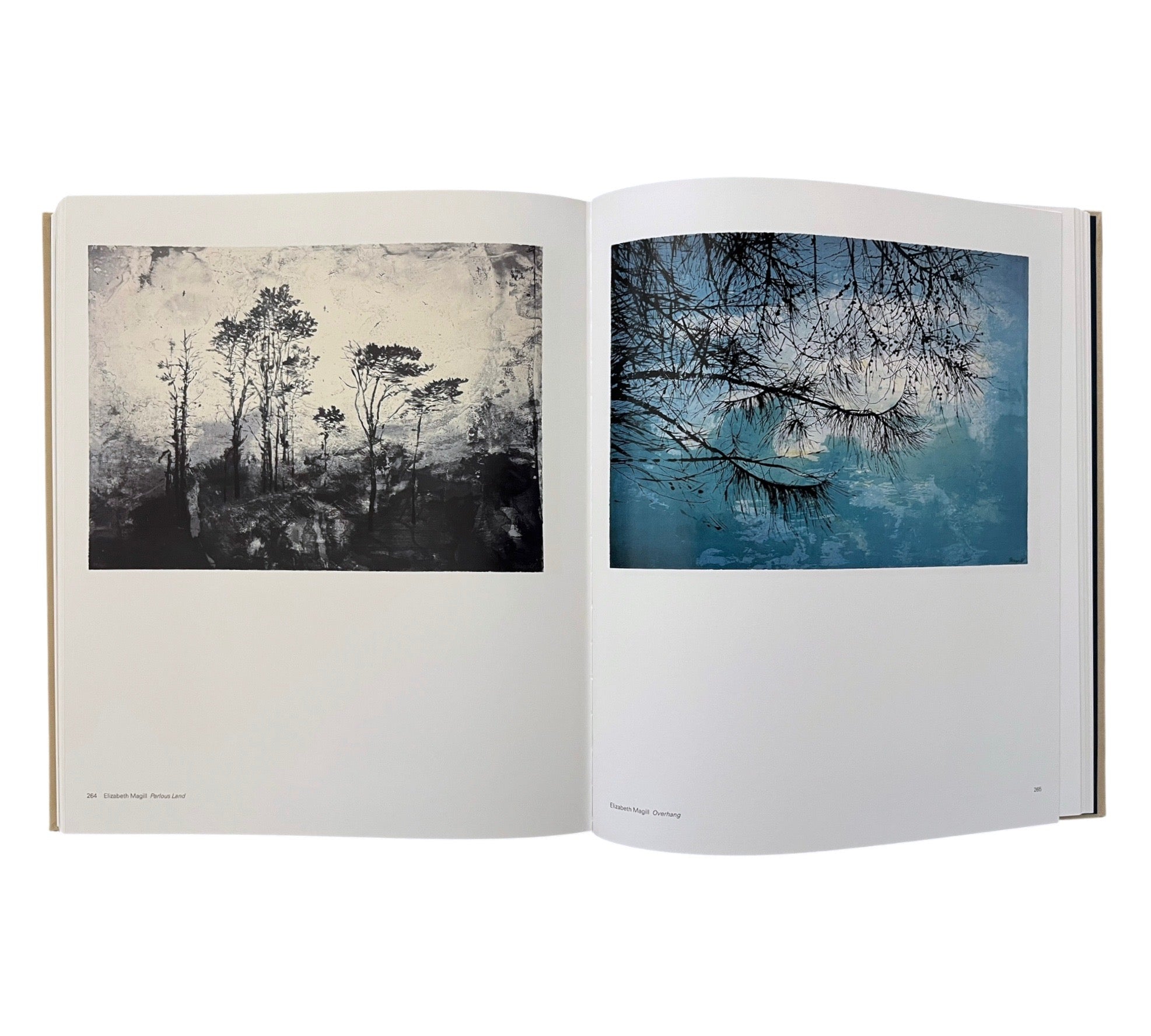 Contemporary Art in Print: The Paragon Press 2001-2006