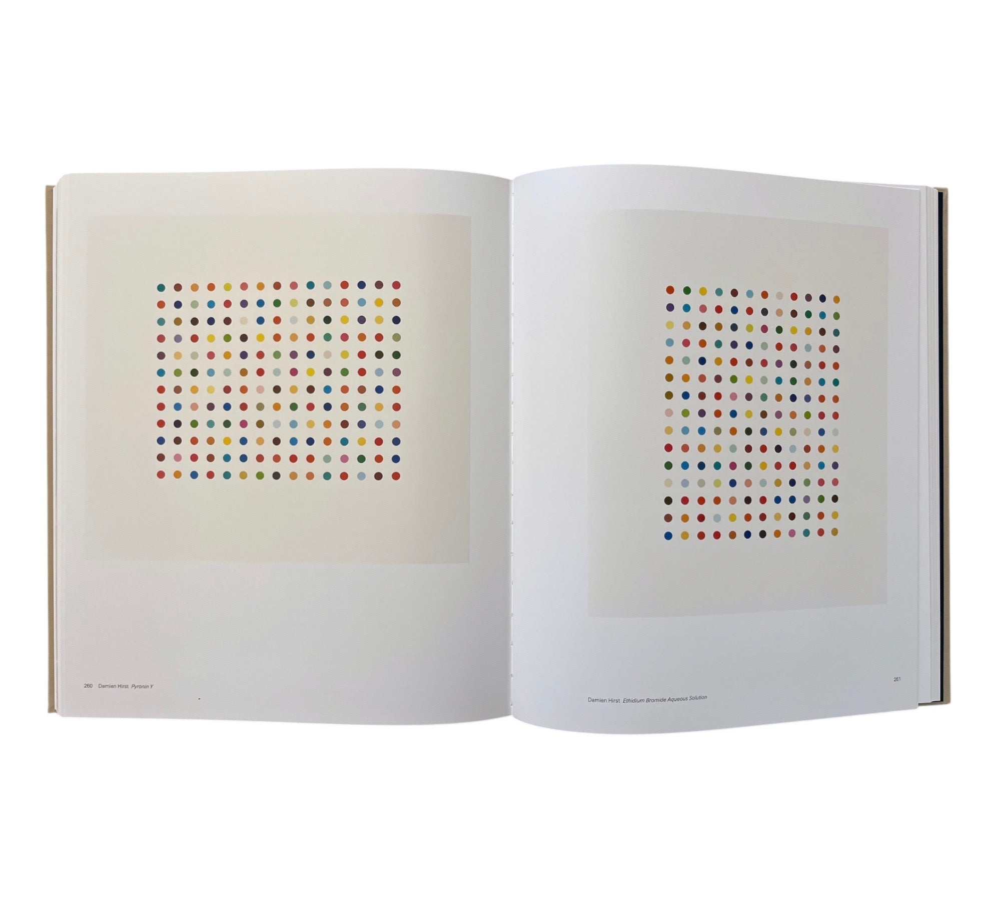 Contemporary Art in Print: The Paragon Press 2001-2006