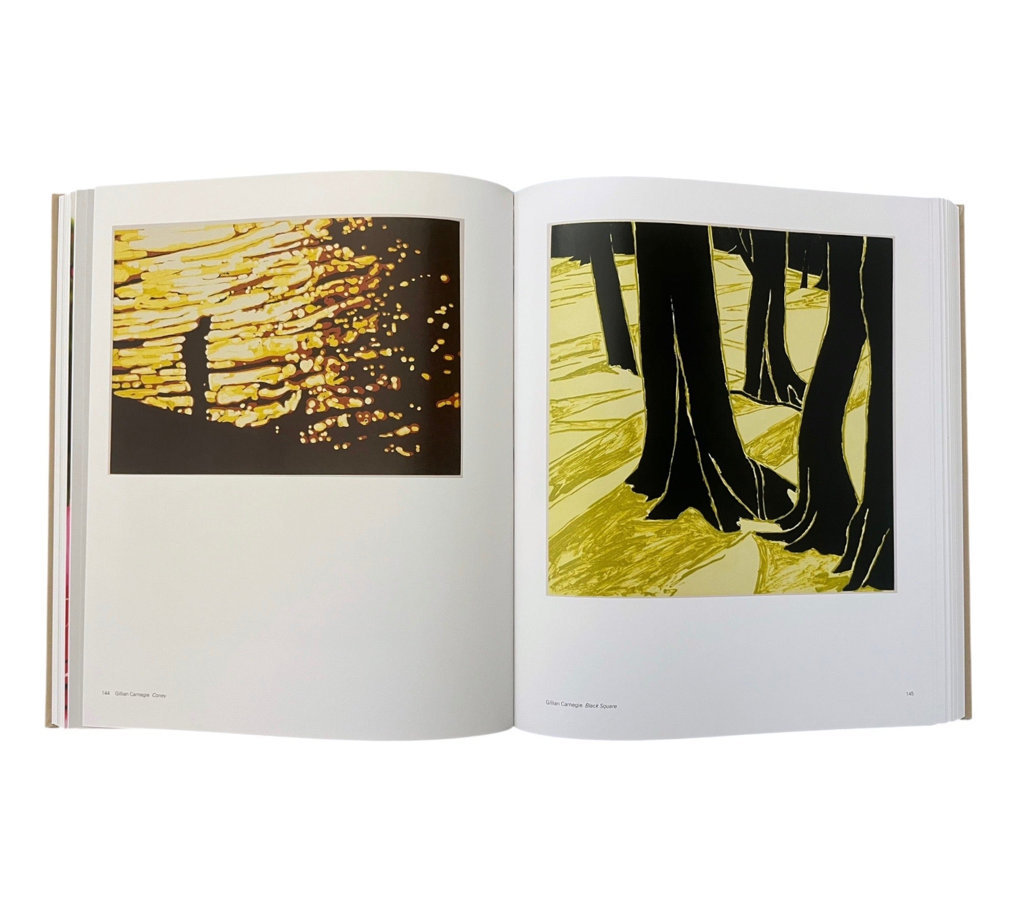 Contemporary Art in Print: The Paragon Press 2001-2006