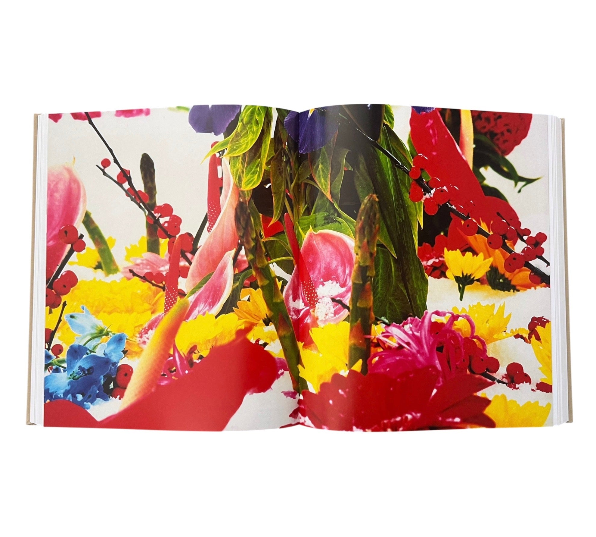 Contemporary Art in Print: The Paragon Press 2001-2006