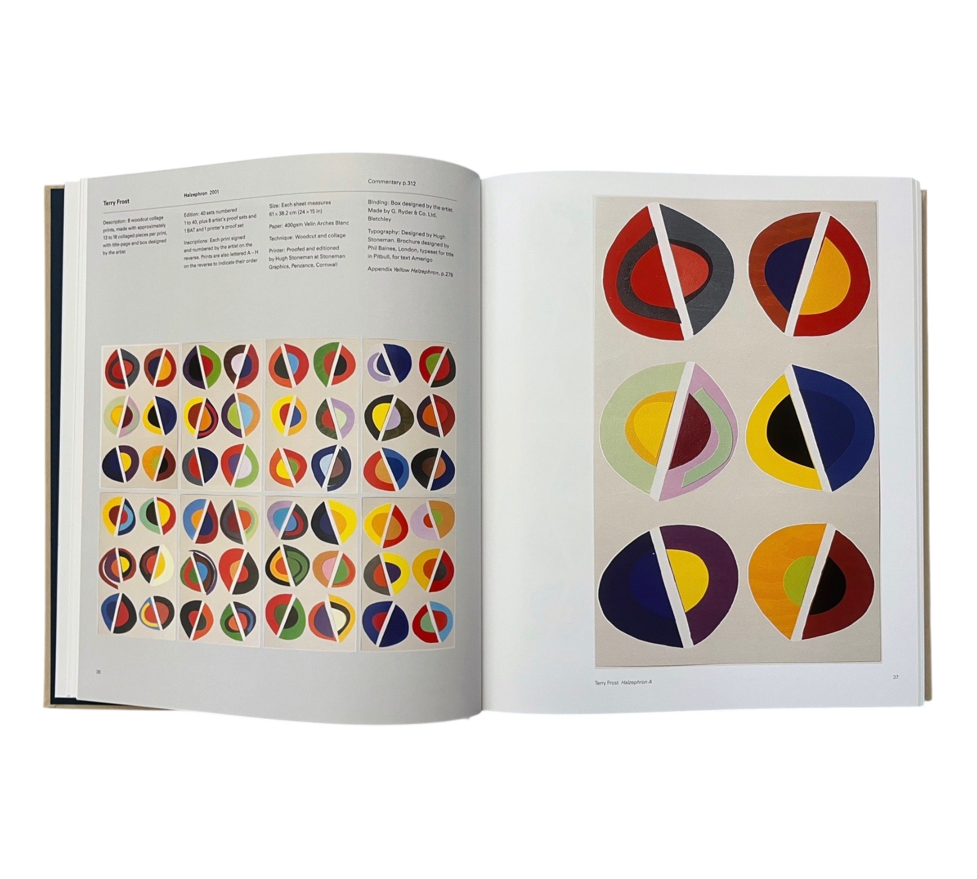 Contemporary Art in Print: The Paragon Press 2001-2006