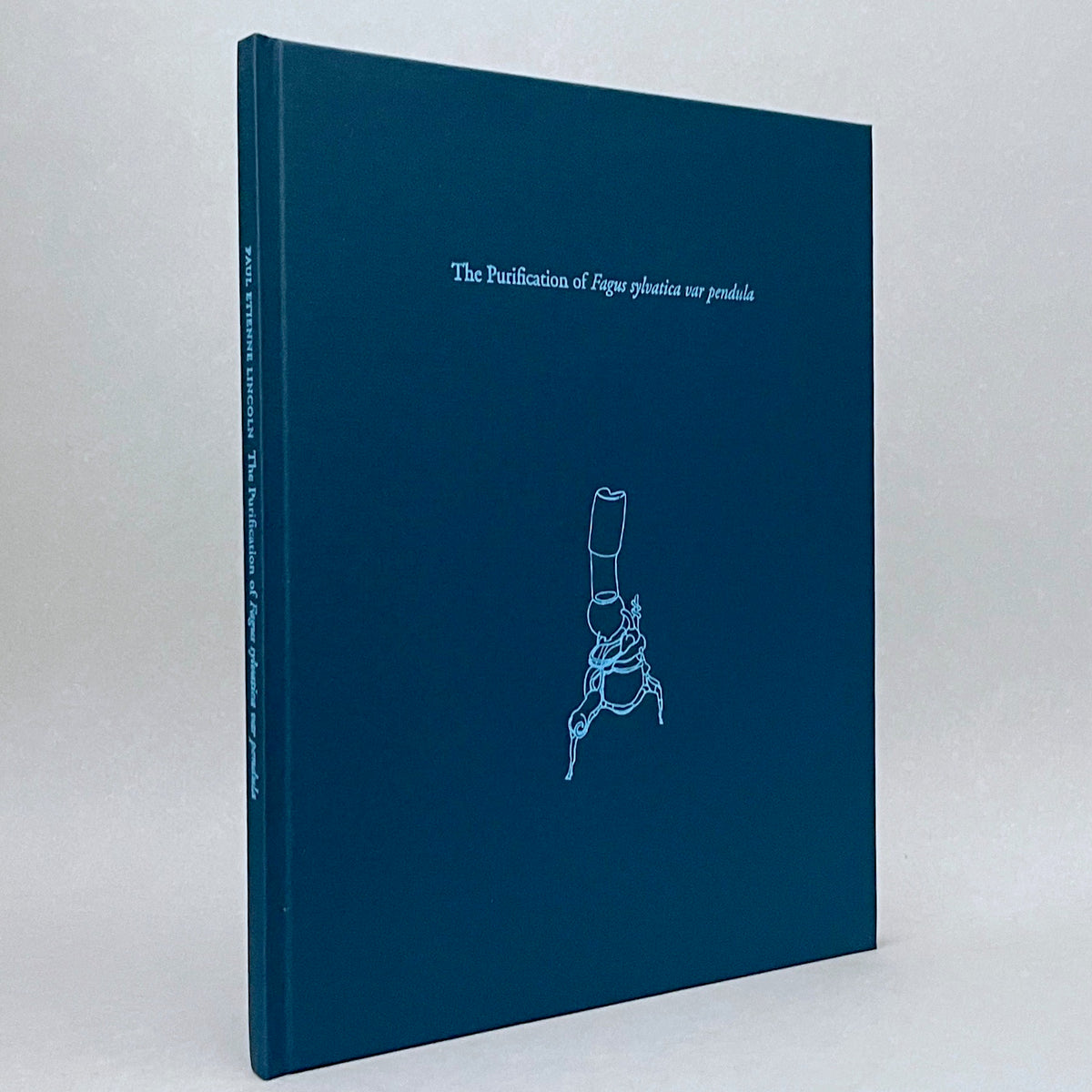 Paul Etienne Lincoln: The Purification of fagus sylvatica var pendula