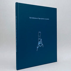 Paul Etienne Lincoln: The Purification of fagus sylvatica var pendula