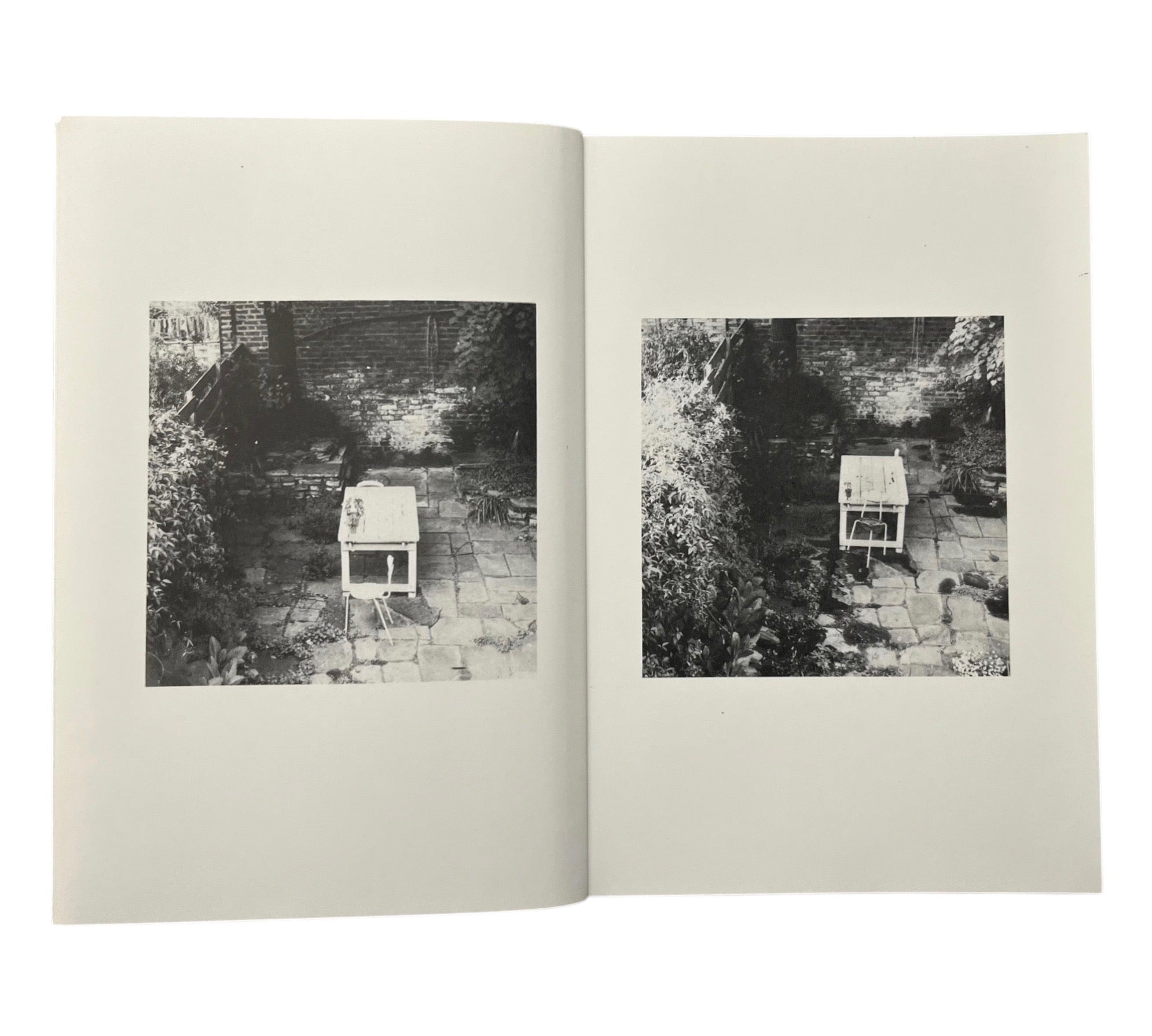 Shelagh Wakely: It is so green outside it is difficult to leave the window