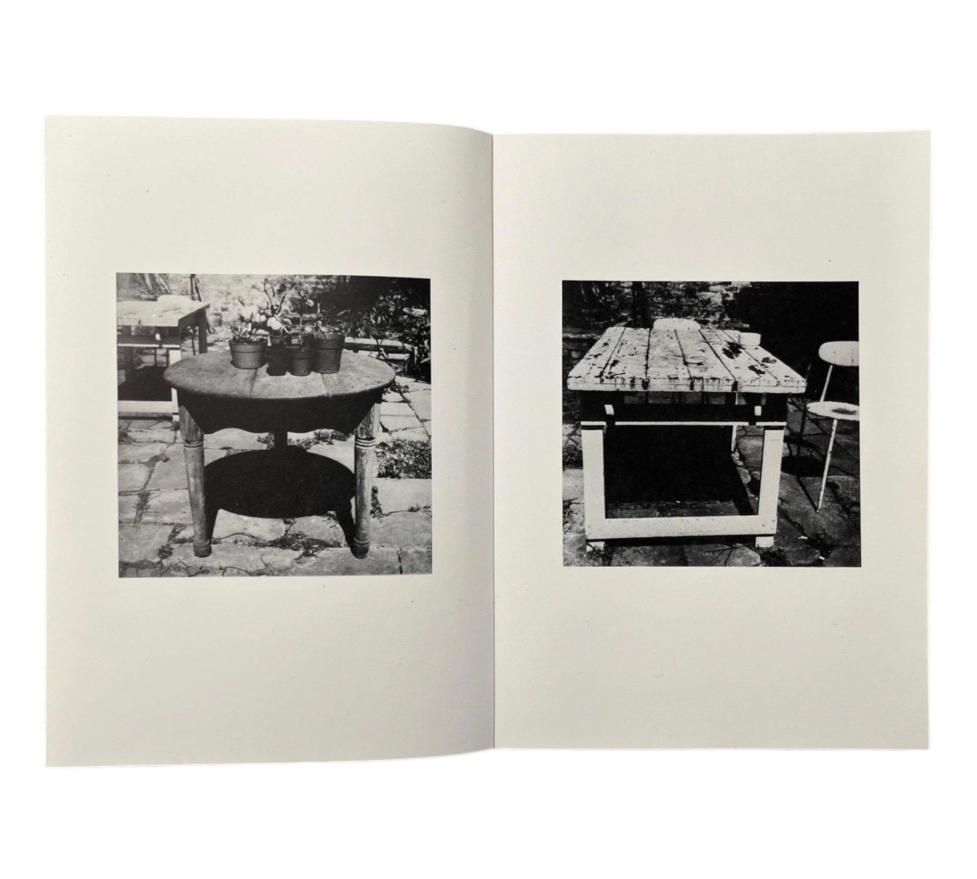 Shelagh Wakely: It is so green outside it is difficult to leave the window