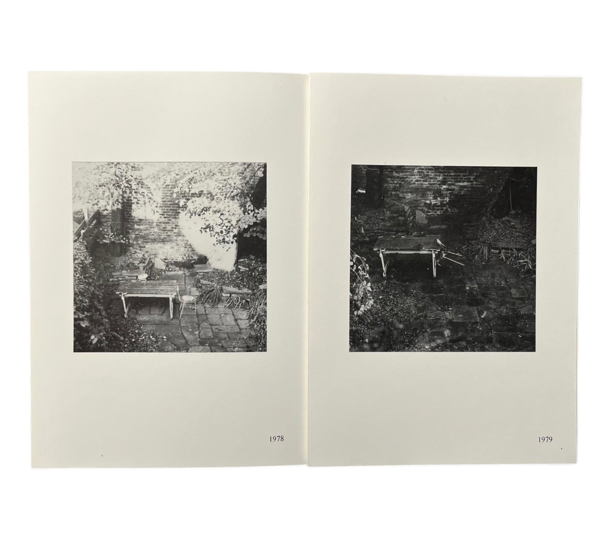 Shelagh Wakely: It is so green outside it is difficult to leave the window