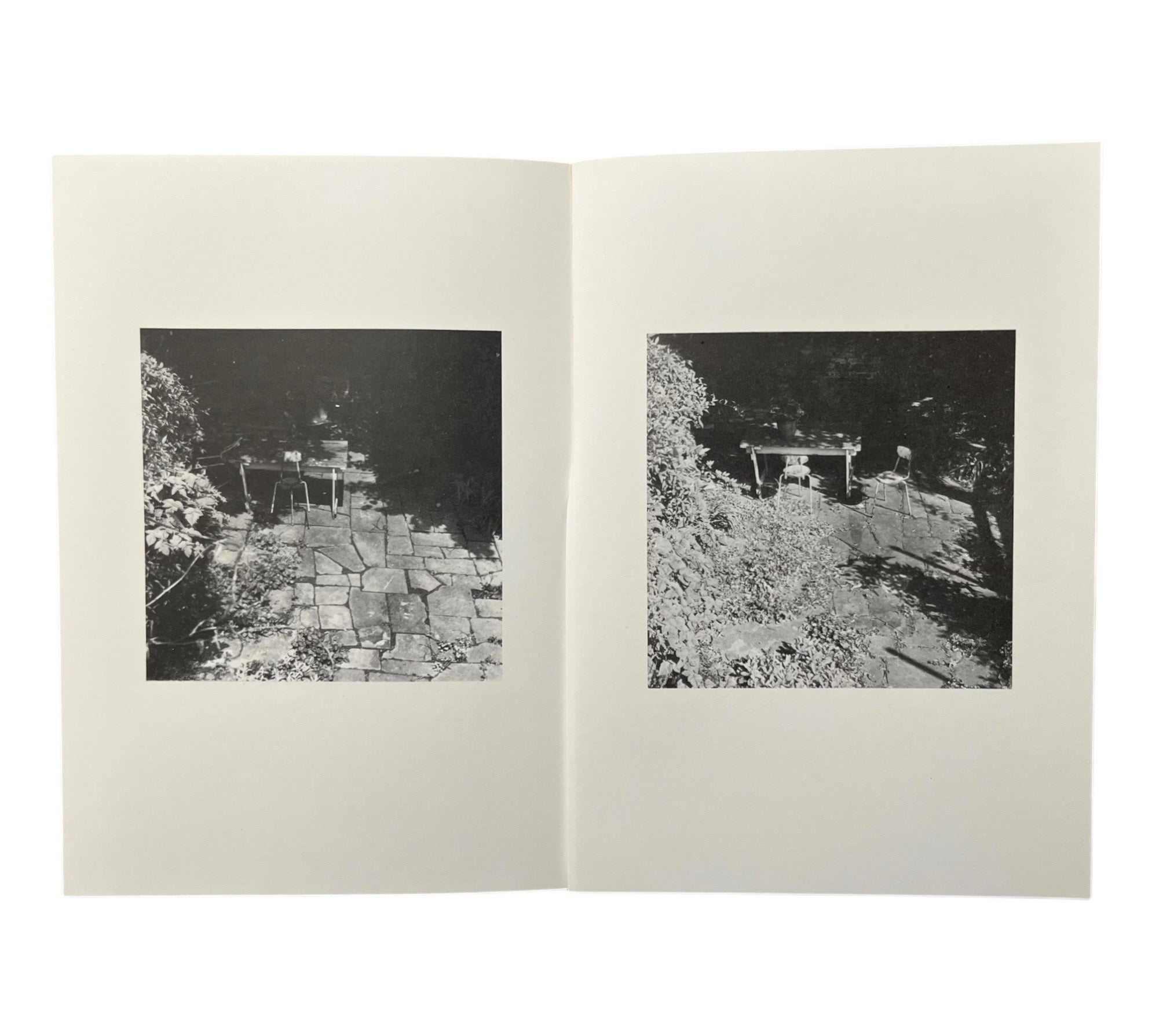 Shelagh Wakely: It is so green outside it is difficult to leave the window