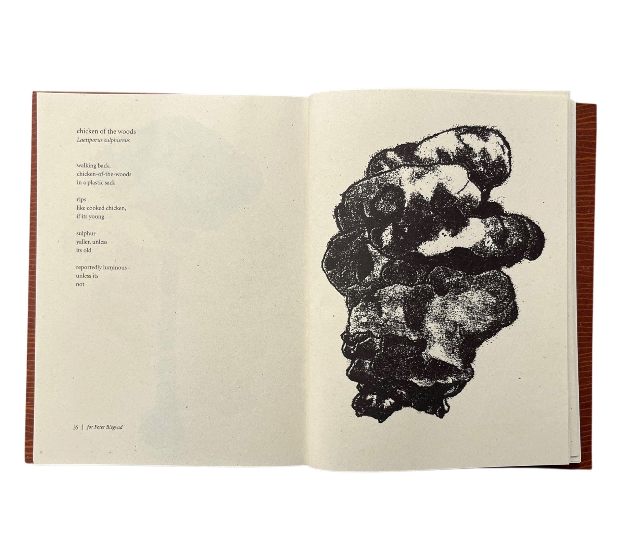 Harry Gilonis & Erica Van Horn: Forty Funghi