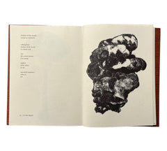 Harry Gilonis & Erica Van Horn: Forty Funghi