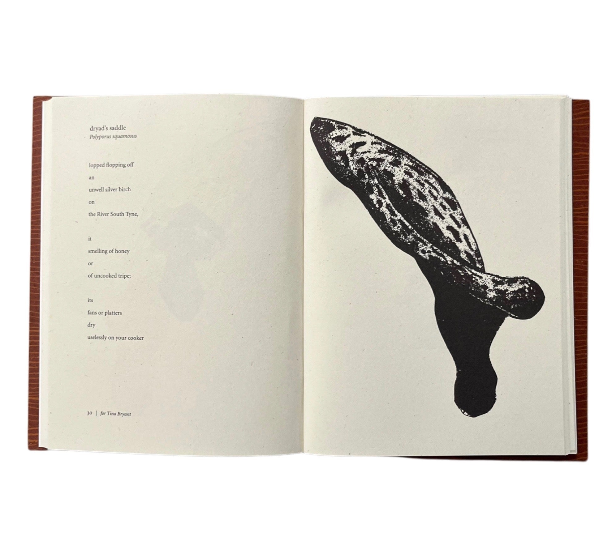 Harry Gilonis & Erica Van Horn: Forty Funghi