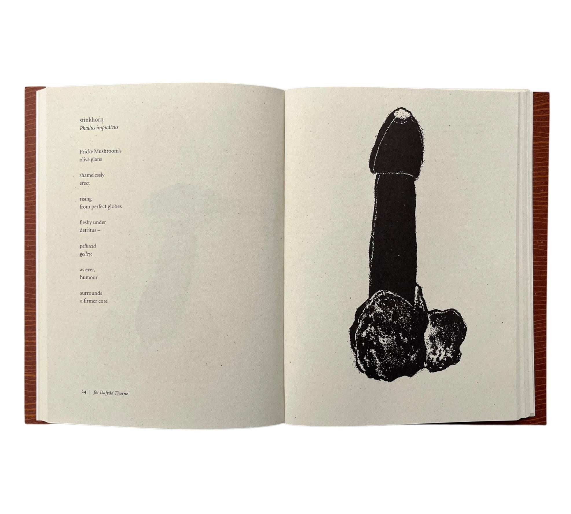 Harry Gilonis & Erica Van Horn: Forty Funghi