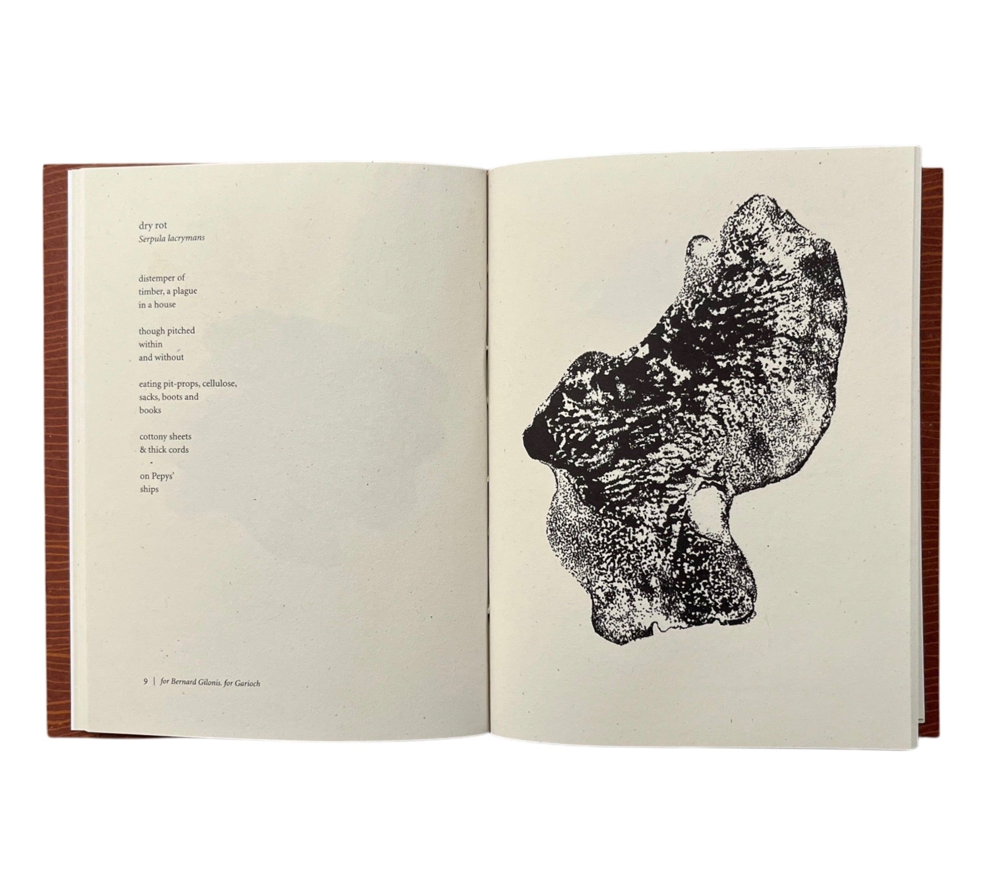 Harry Gilonis & Erica Van Horn: Forty Funghi