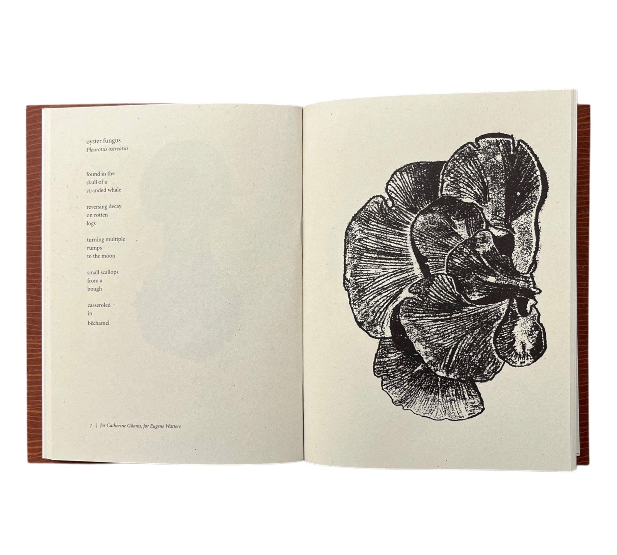 Harry Gilonis & Erica Van Horn: Forty Funghi