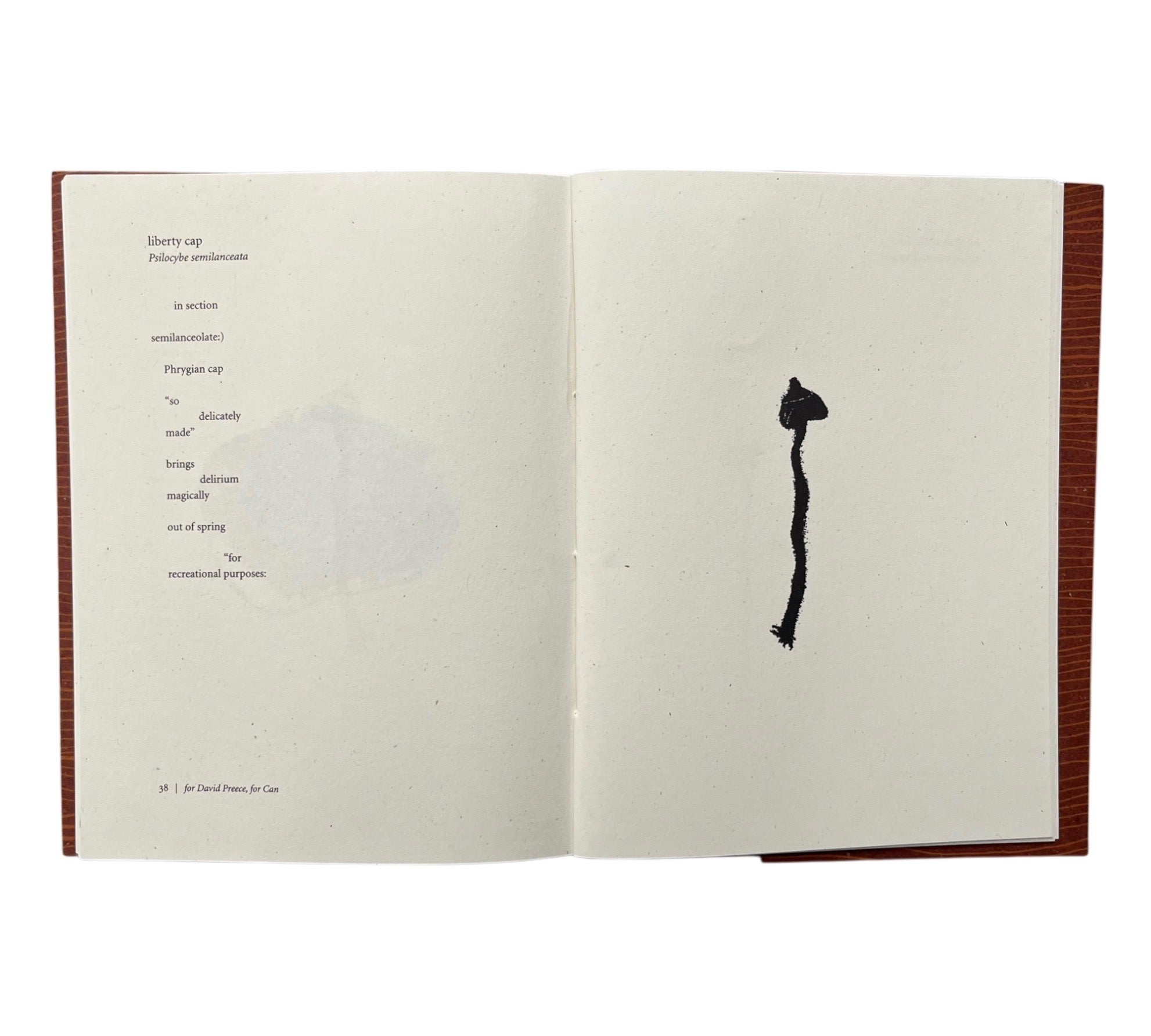 Harry Gilonis & Erica Van Horn: Forty Funghi