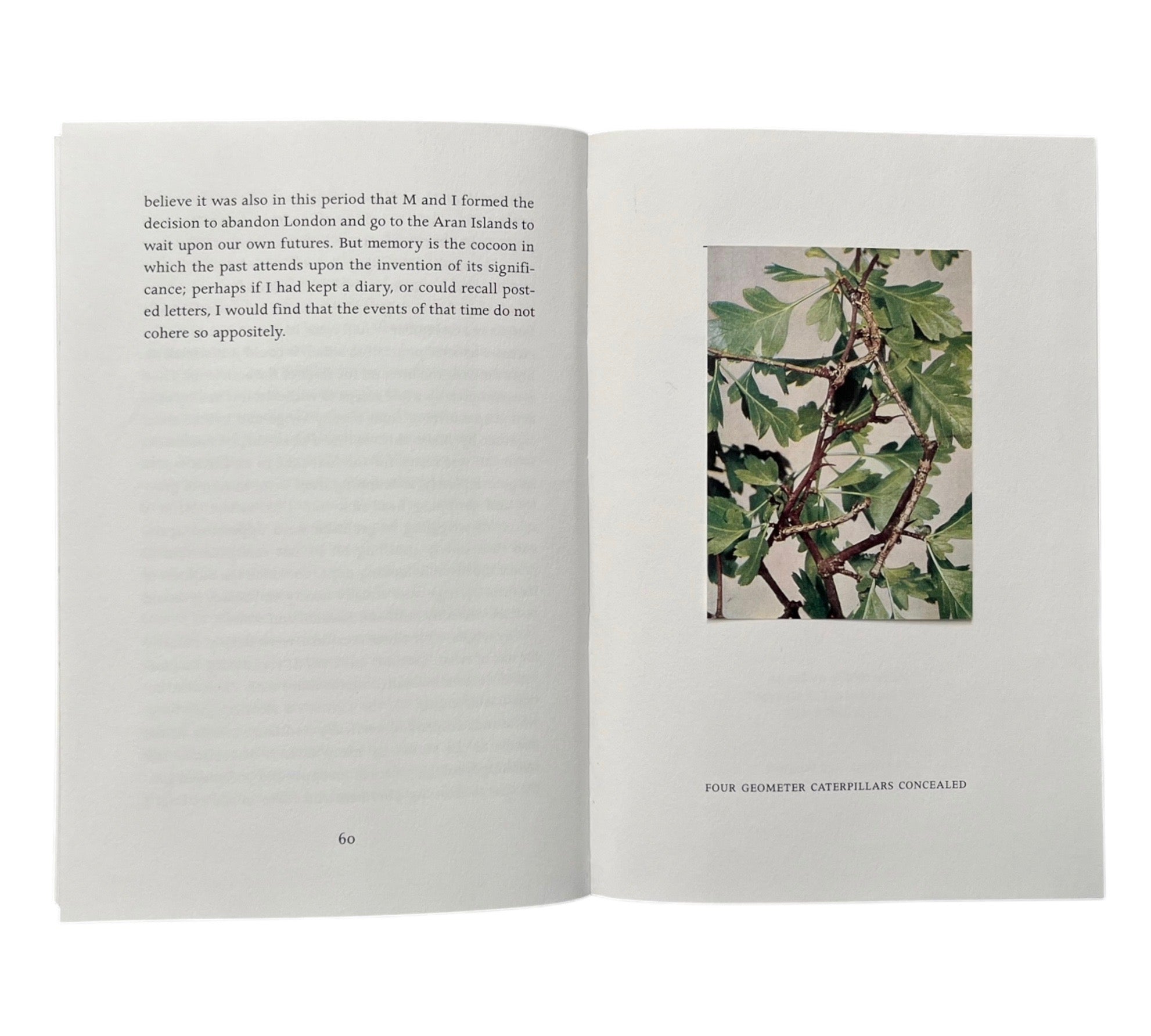 Tim Robinson: The View from the Horizon