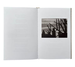 Stephen Skidmore & John Bevis: The Window Paintings