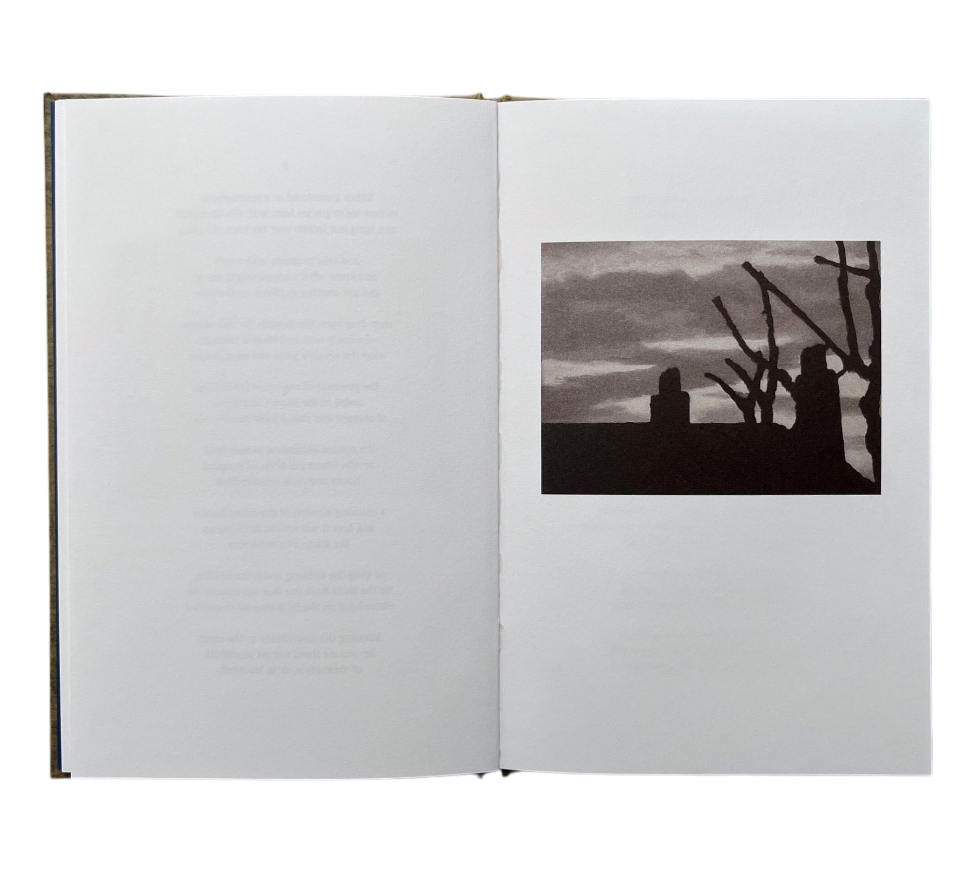 Stephen Skidmore & John Bevis: The Window Paintings