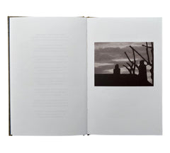 Stephen Skidmore & John Bevis: The Window Paintings